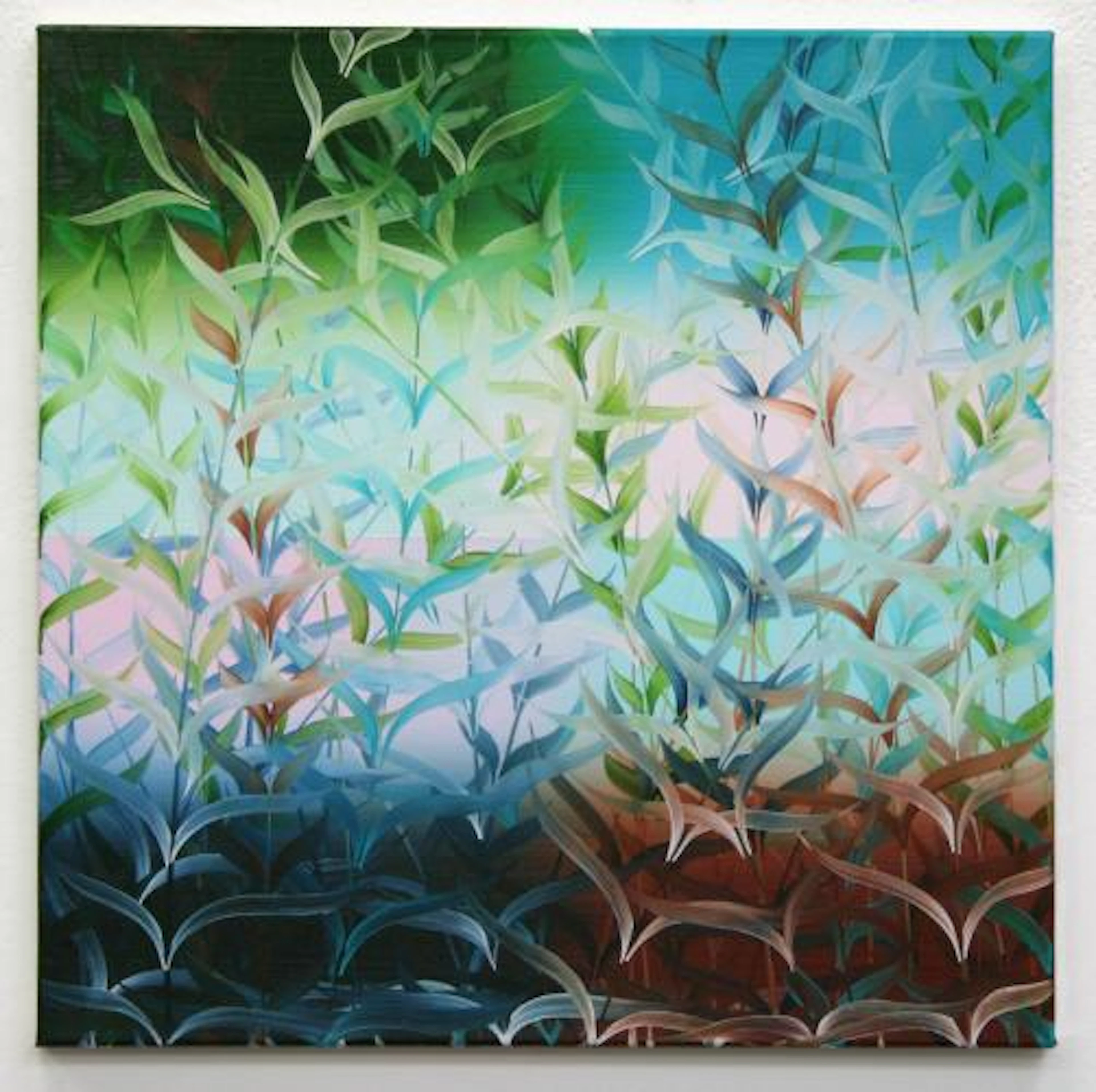 Mangroven - Vera Leutloff