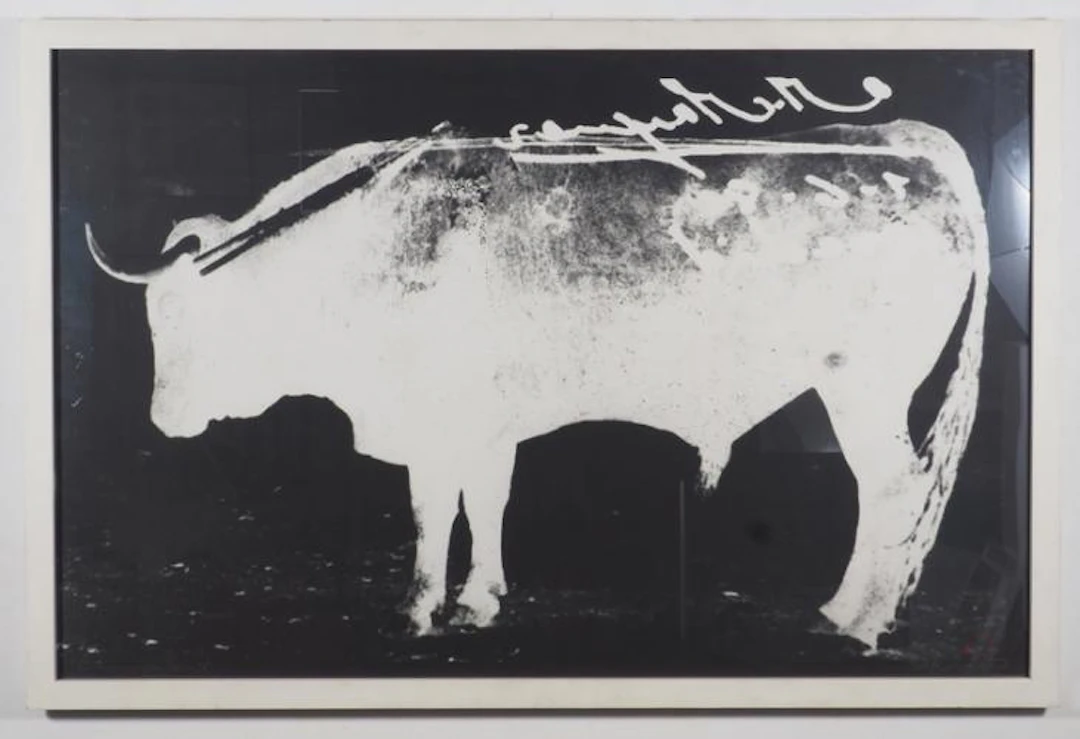 Kazuo Katase - Zeichensetzung: Weißer Stier