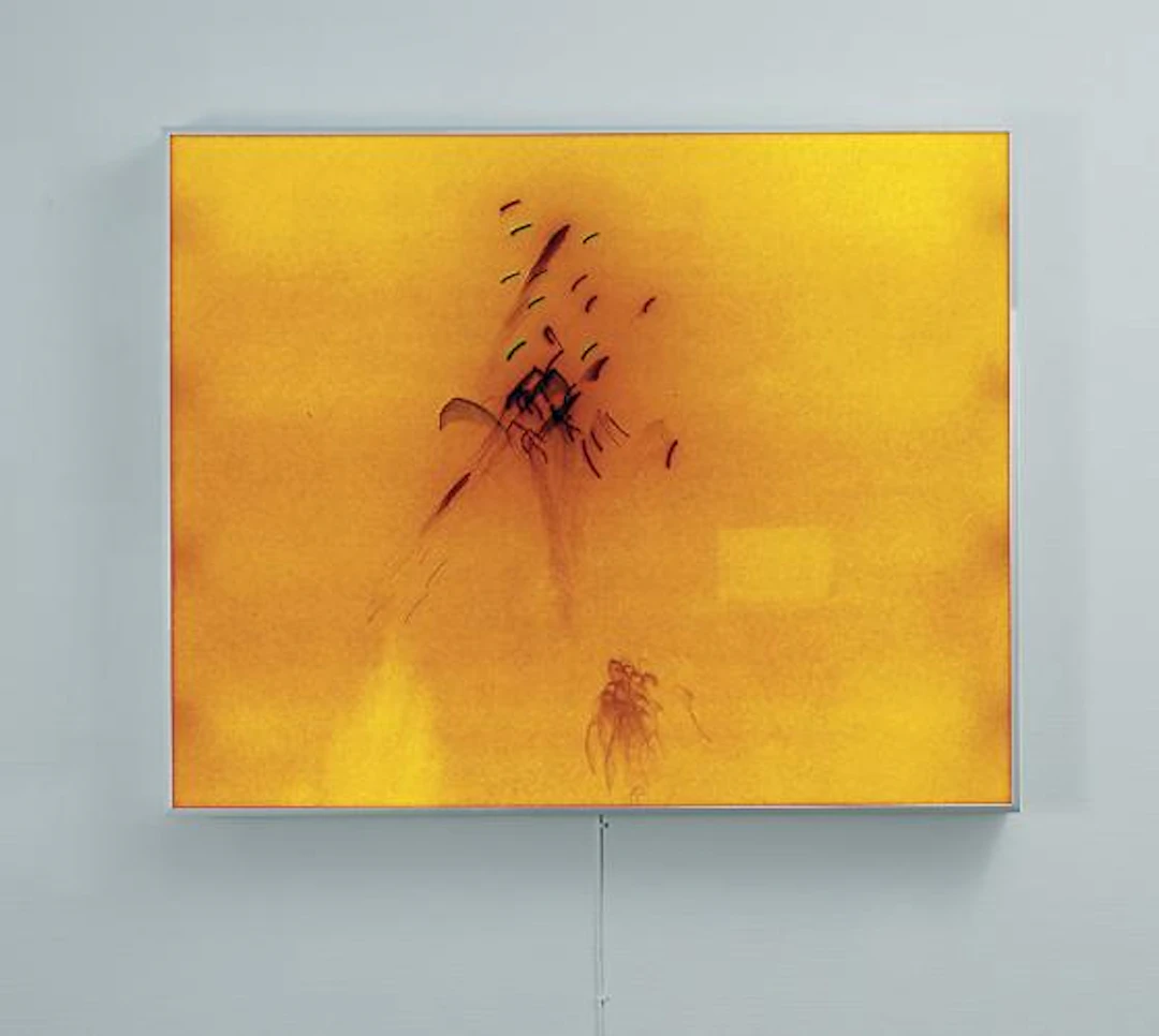 Kazuo Katase - Nachtblumen