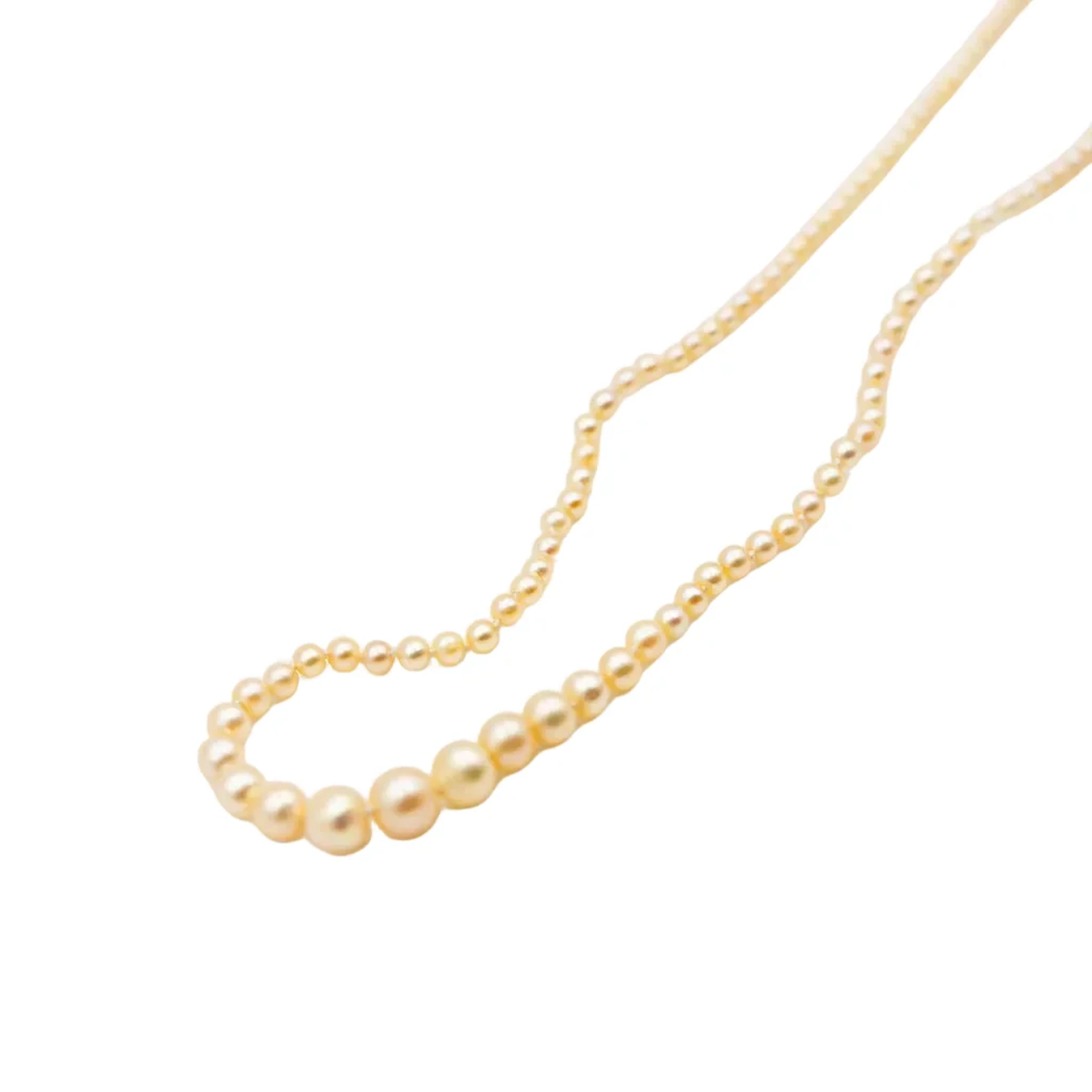 Necklace of Pearls in fine pearls and White gold