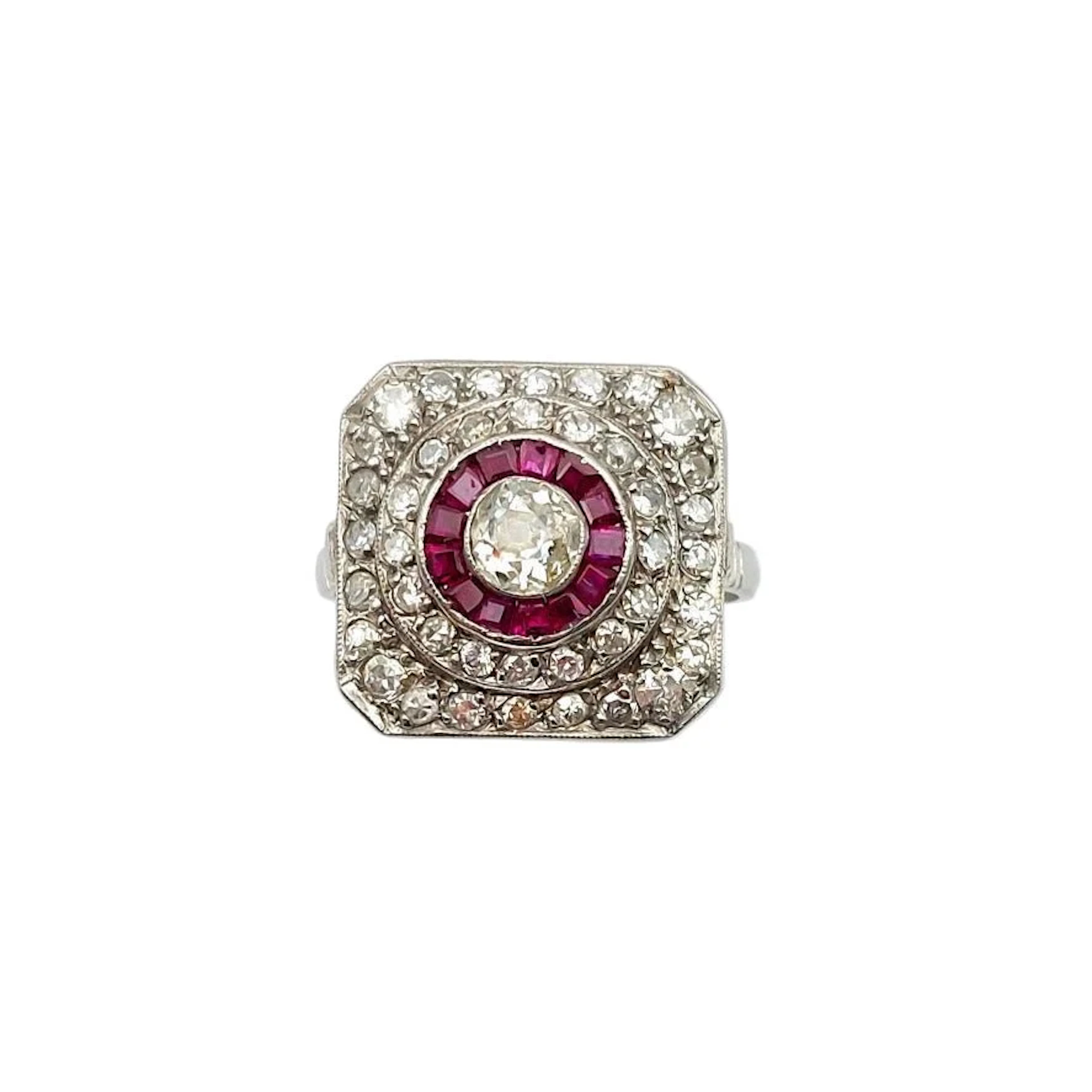 Ring Surroundings in paltinium, ruby and diamonds