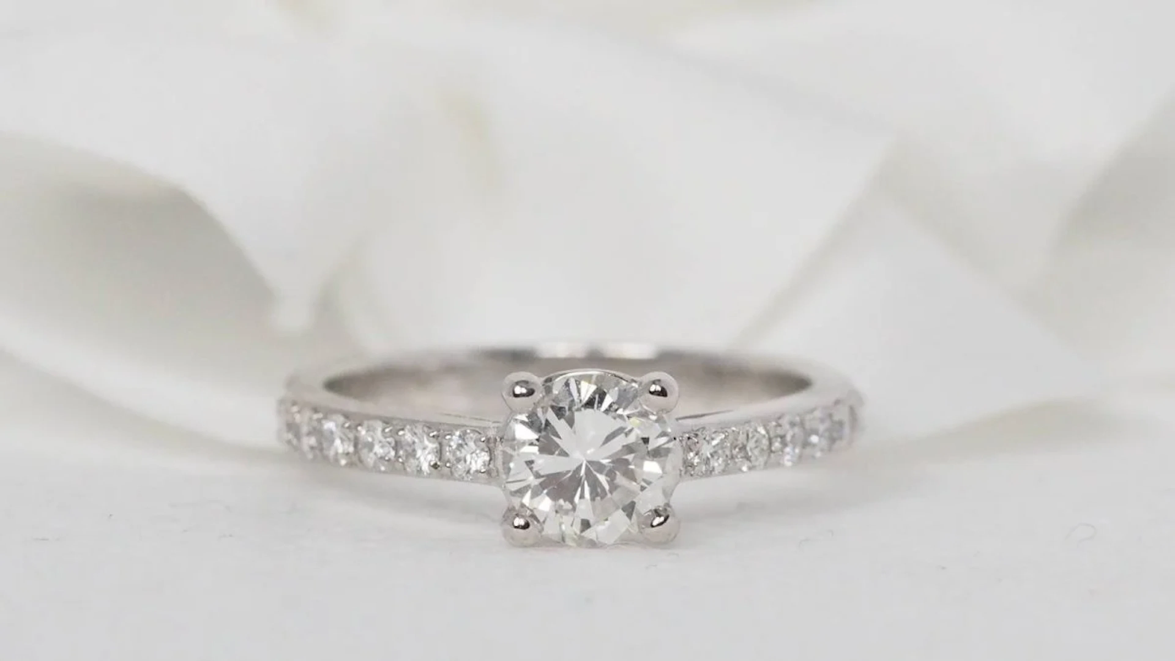 Solitaire ring in white gold and diamond