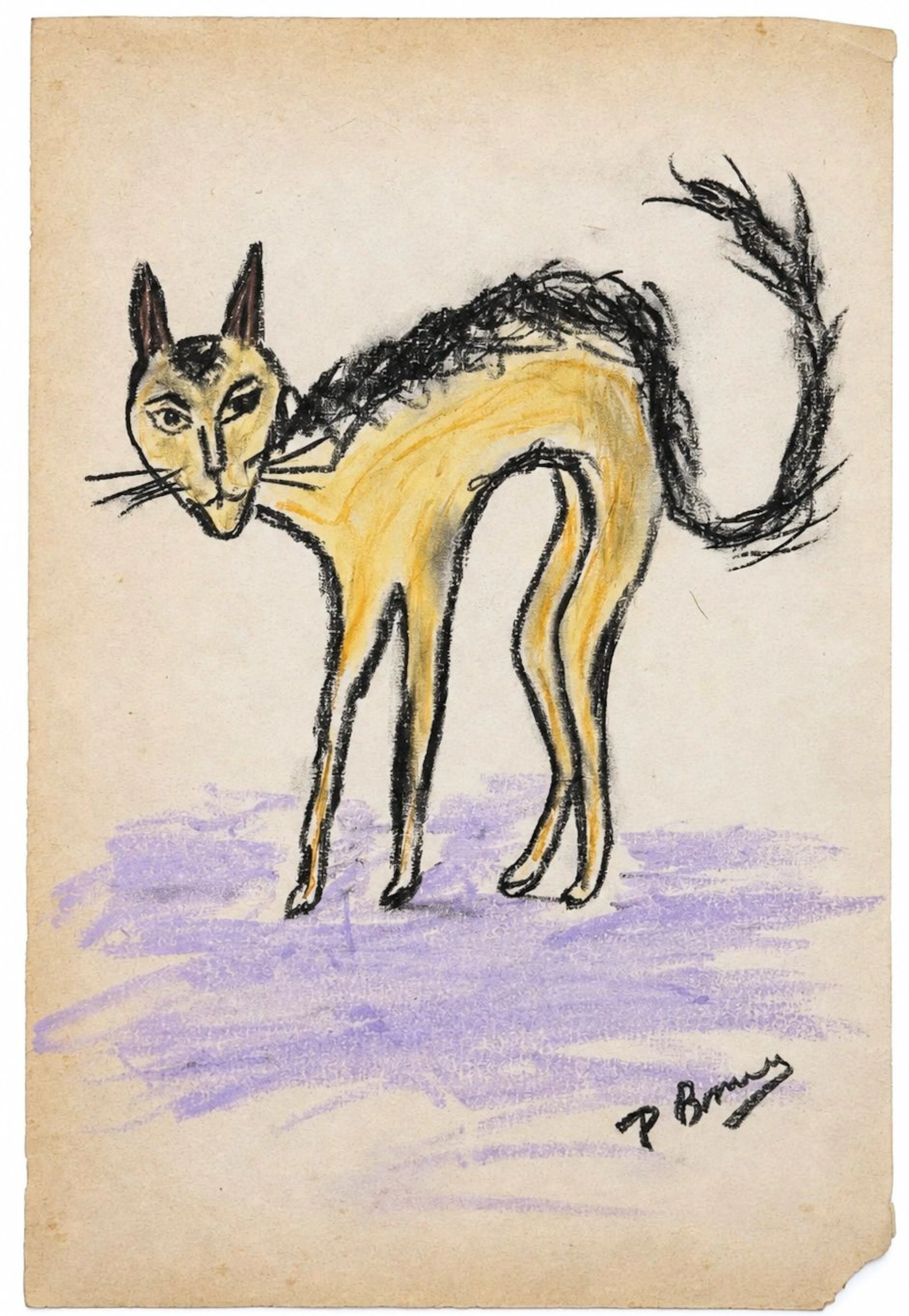 Pierre Bonnard (1867-1947), Cat