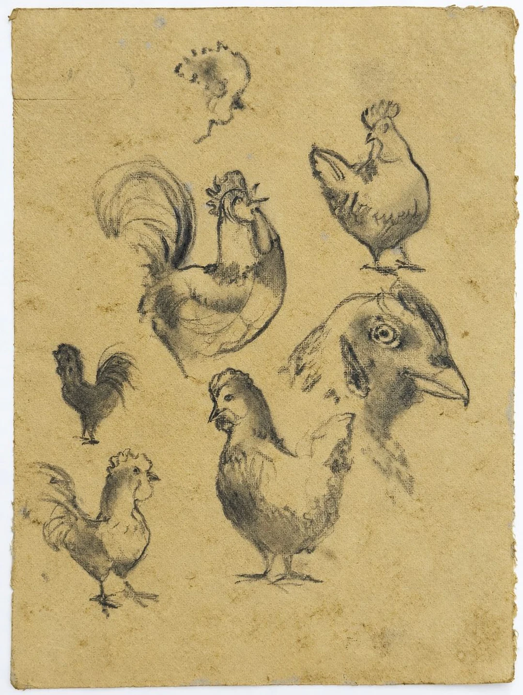 Unknown Artist Studies of Roosters and Hens