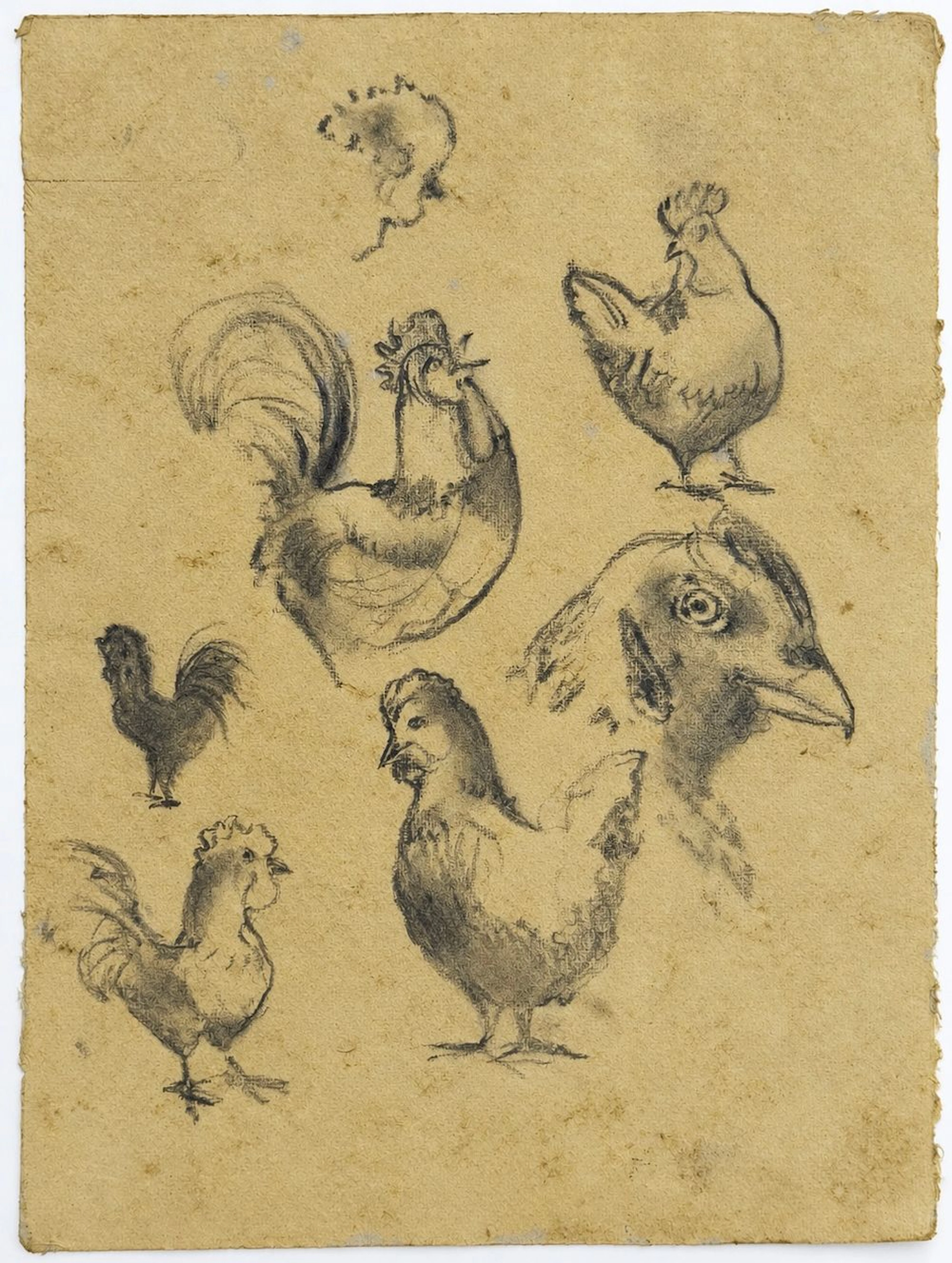 Unknown Artist Studies of Roosters and Hens