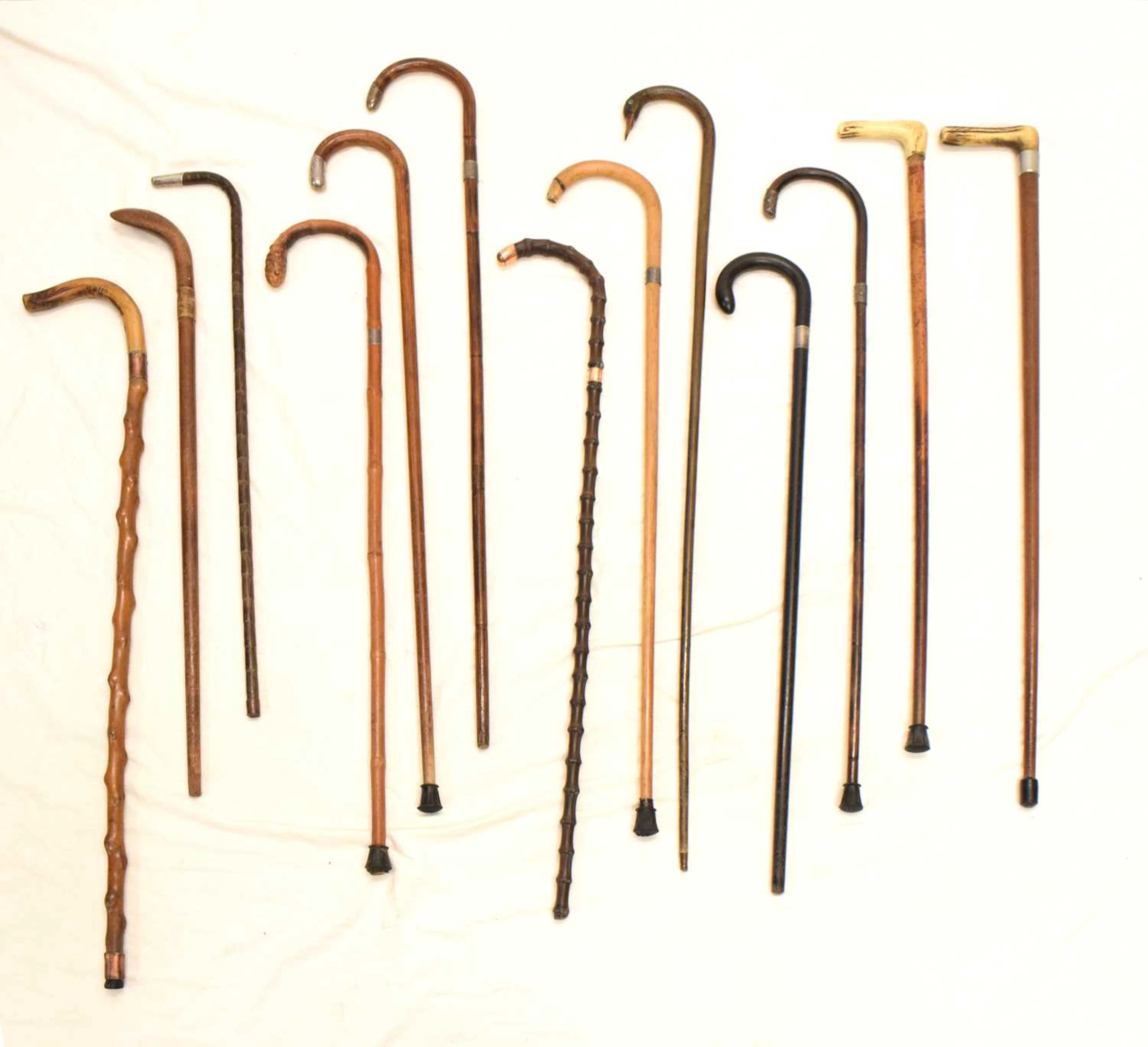 Collection of walking sticks