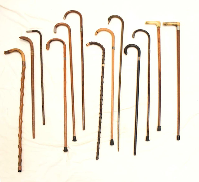 Collection of walking sticks