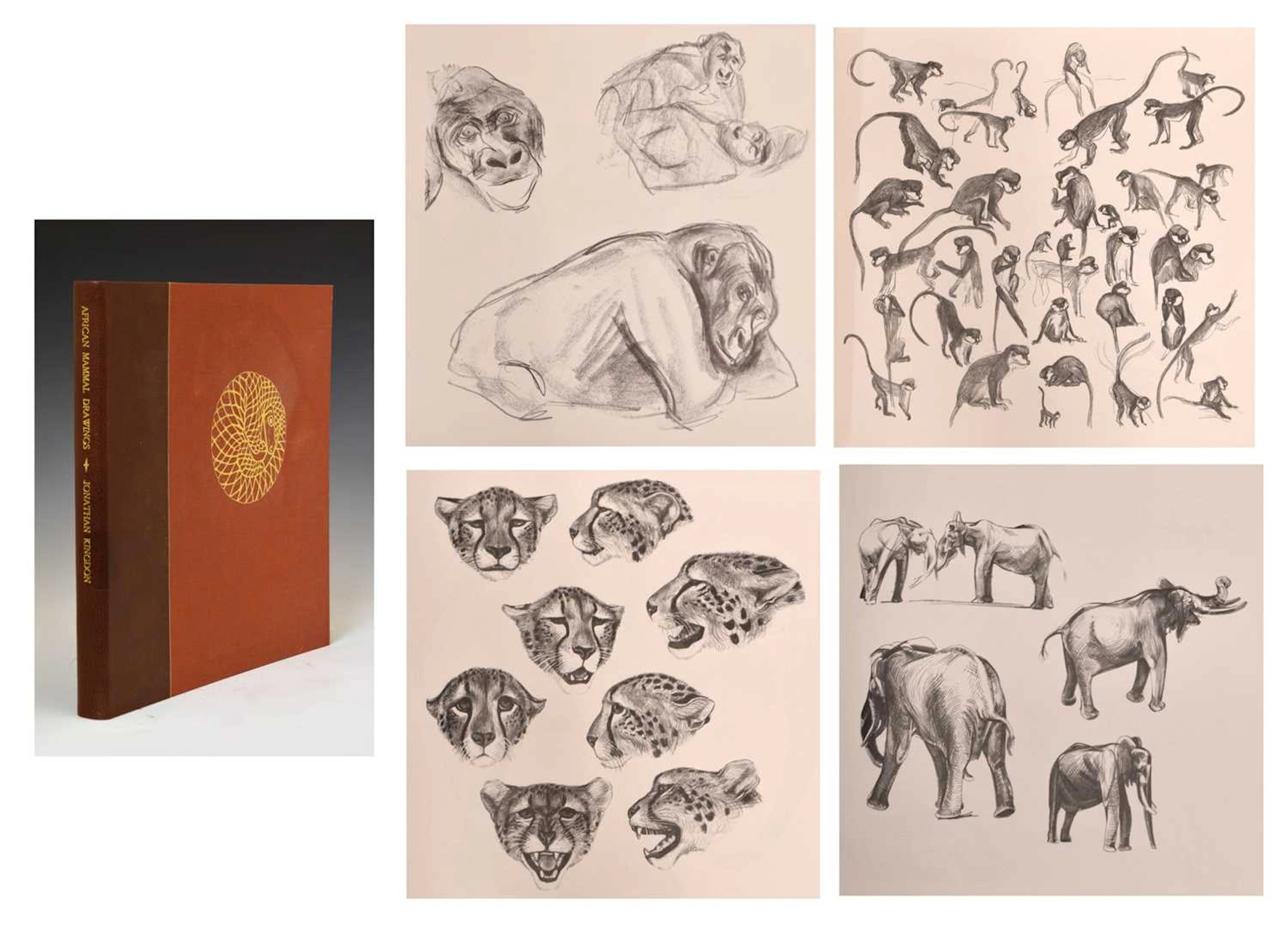 Jonathan Kingdon, ‘African Mammal Drawings’, Deluxe Edition, 1983