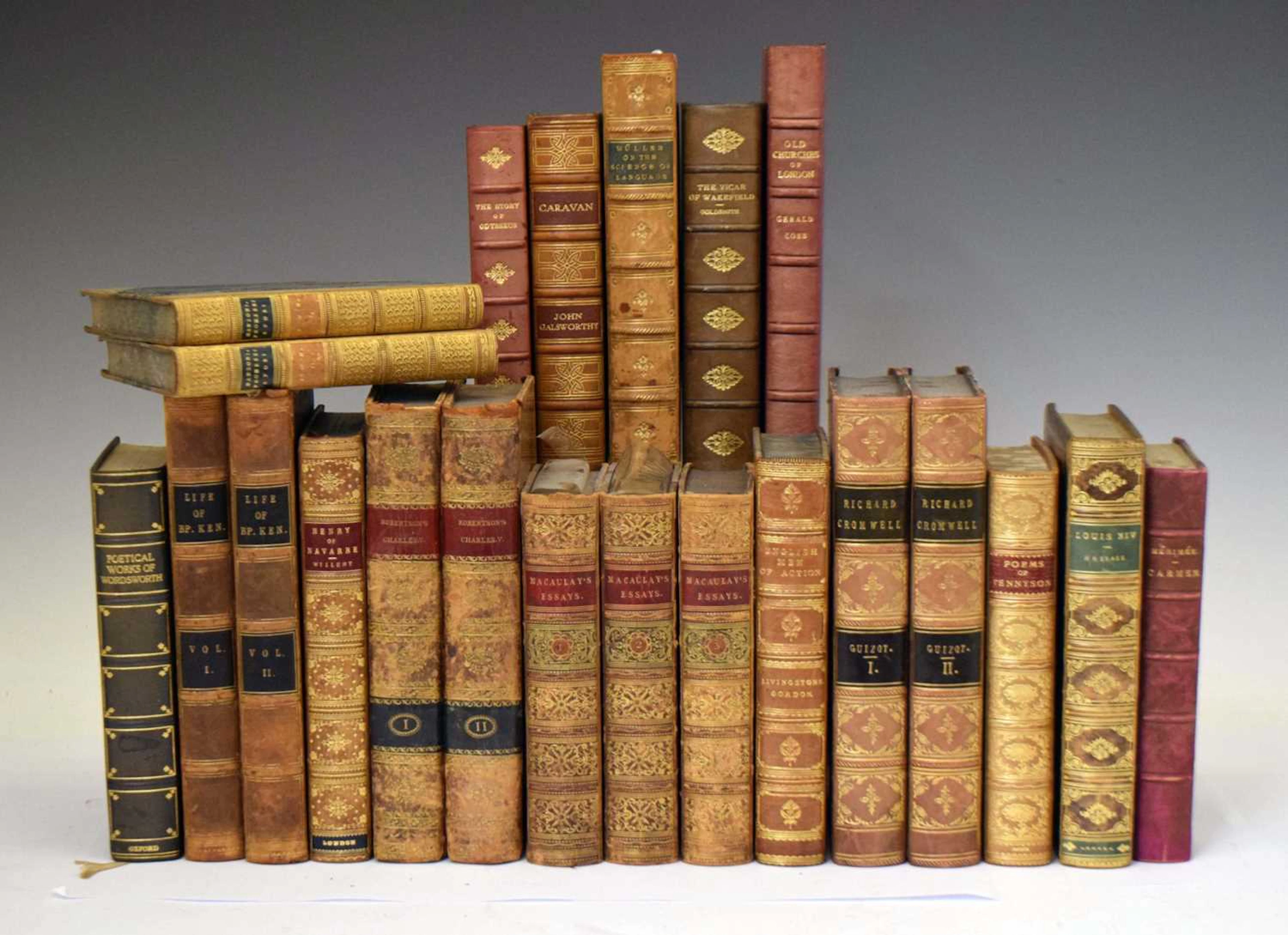 Bindings - Collection of leather bound books and prize bindings