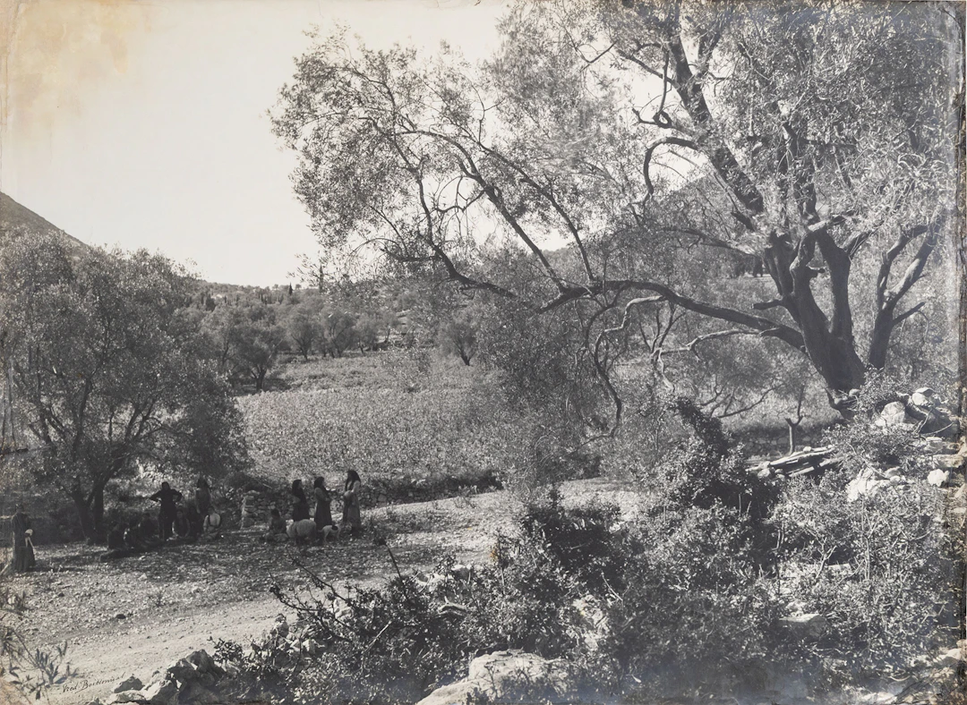 BOISSONNAS, Fred. Τό μάζεμα τῶν ἐλιῶν, Ἰθάκη.