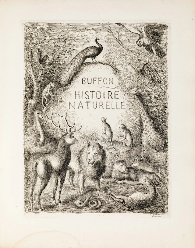 BUFFON, Georges Louis Leclerc, comte de. Histoire naturelle.