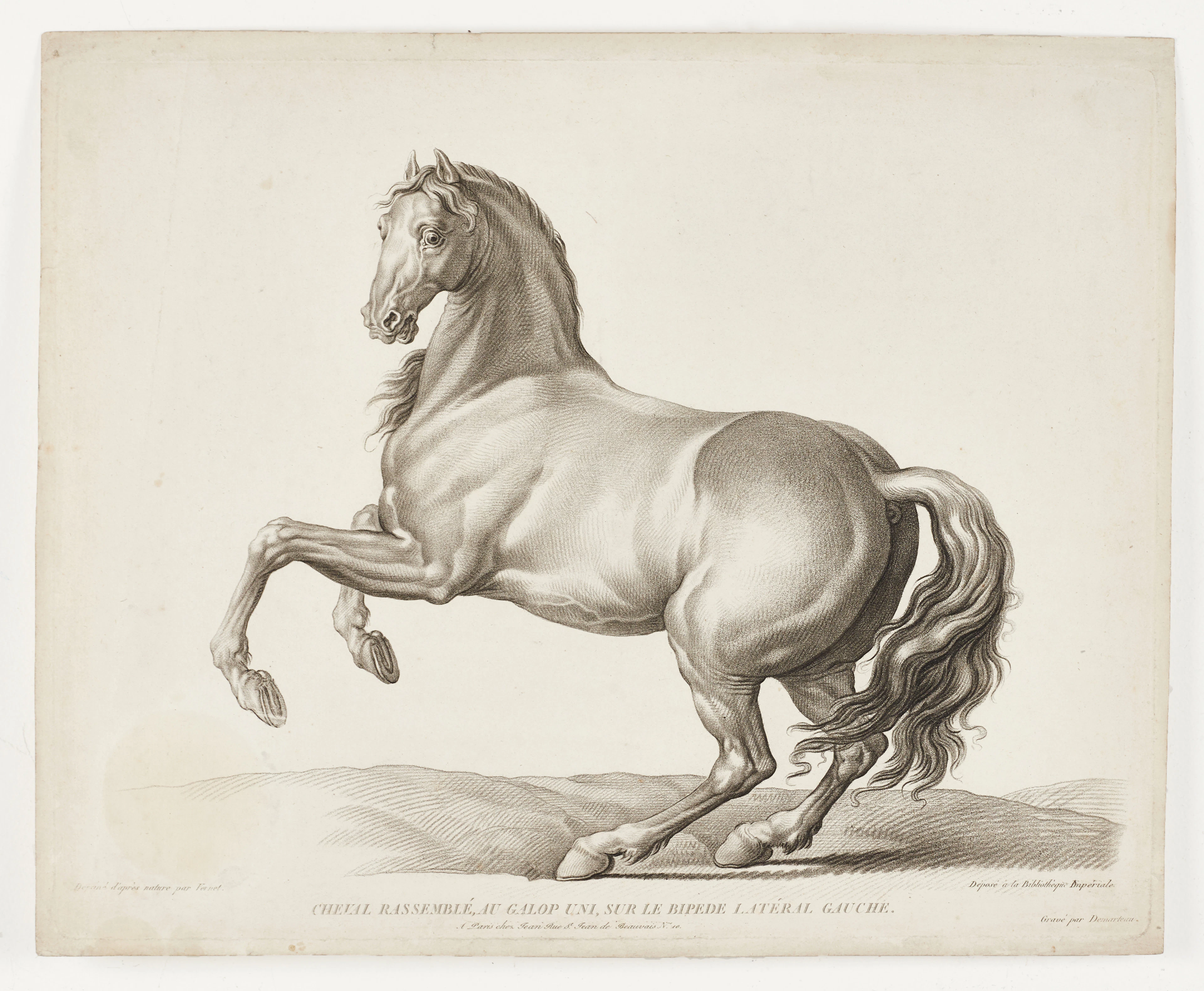 VERNET, (3) cryaongravyrer, omkring ca 1799 och 1820.