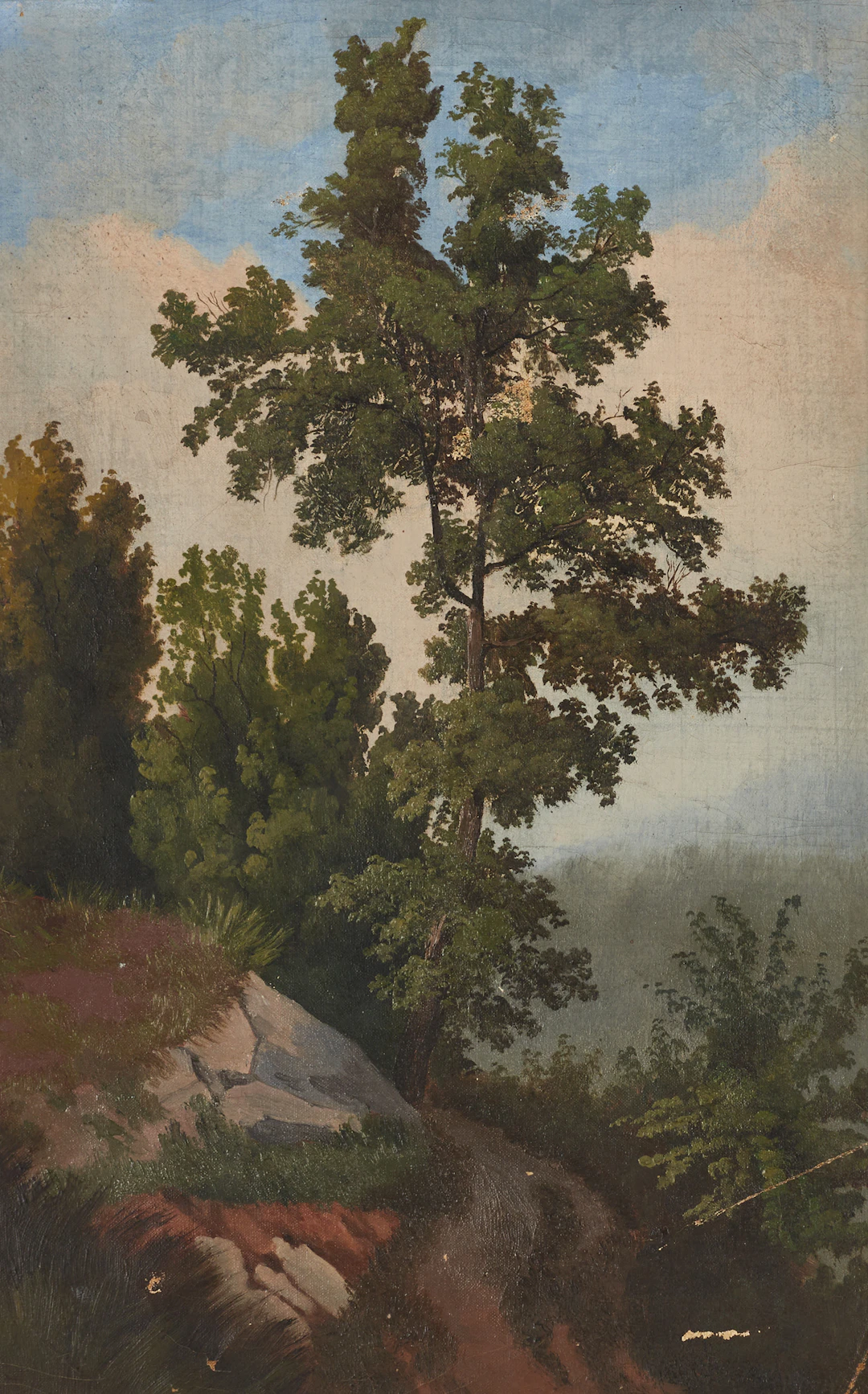 OKÄND KONSTNÄR, 1800/1900, Trädstudie, olja på duk.