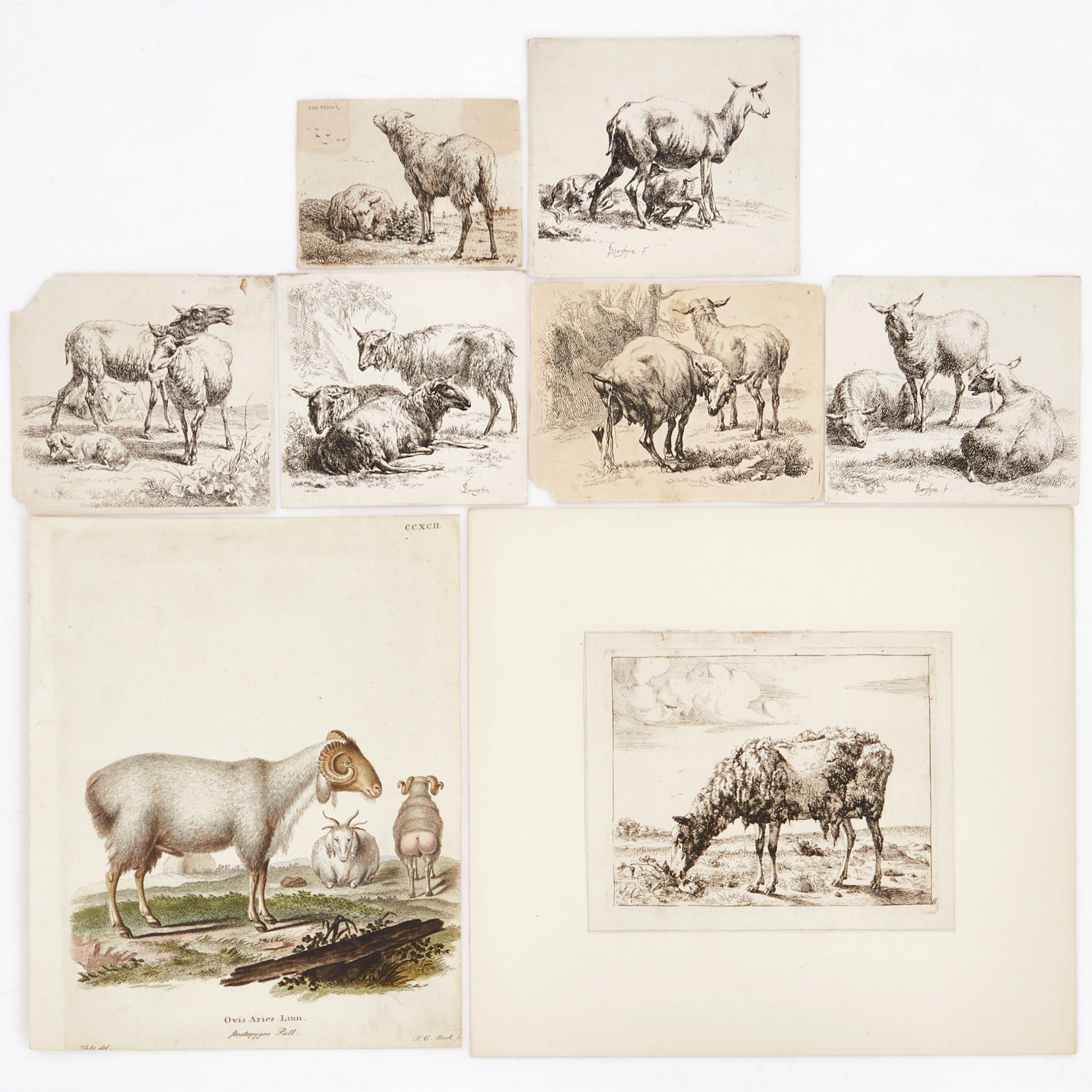 ICOLAS BERCHEM (1620-1683), KAREL DUJARDIN (1626-1678), MARCUS DE