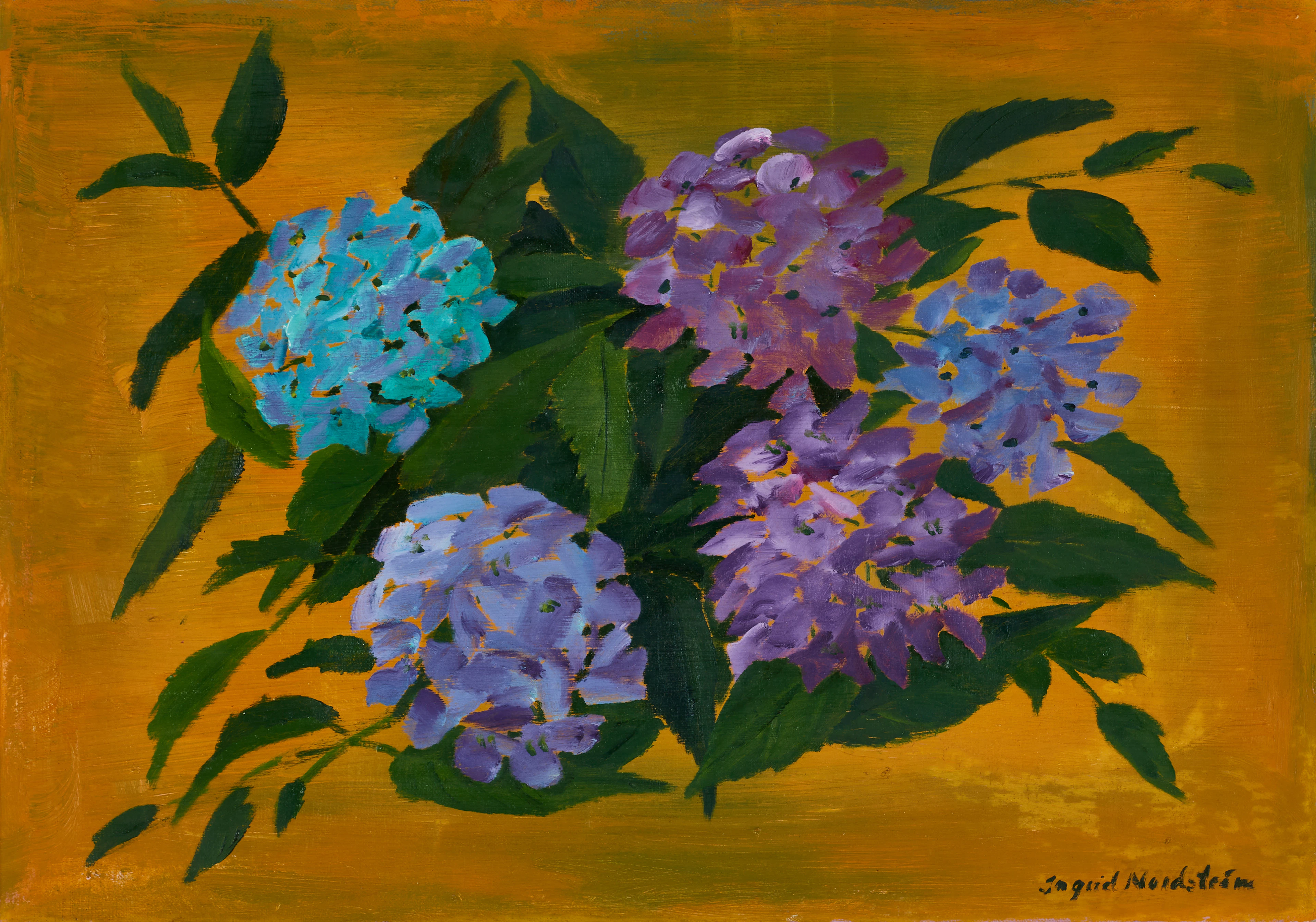 INGRID NORDSTRÖM (Sverige, 1933–2004). Hortensior, signerad, olja på duk.