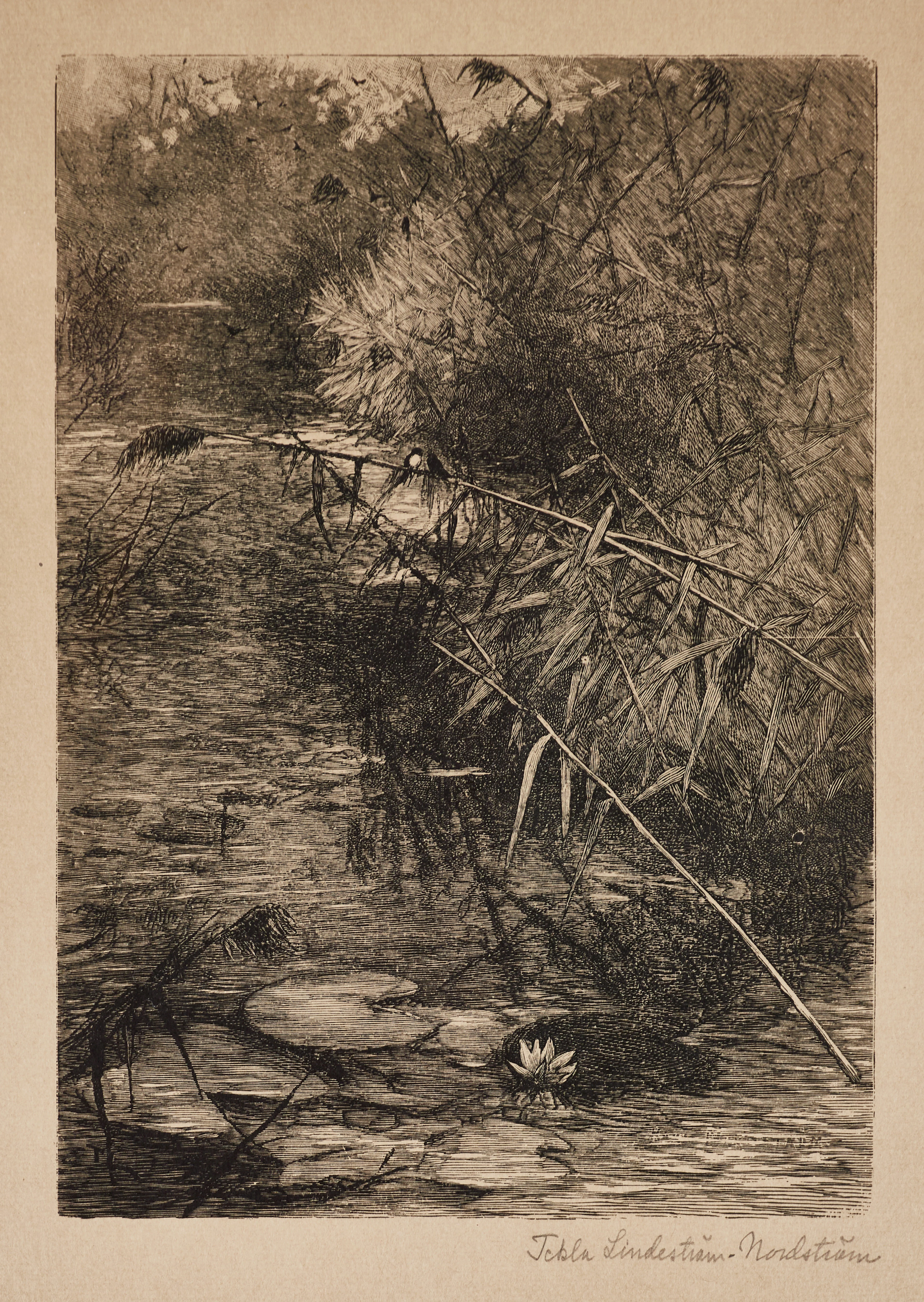 TEKLA NORDSTRÖM (1856-1937): Vid floden Loing, Gréz, signerad ”Tekla