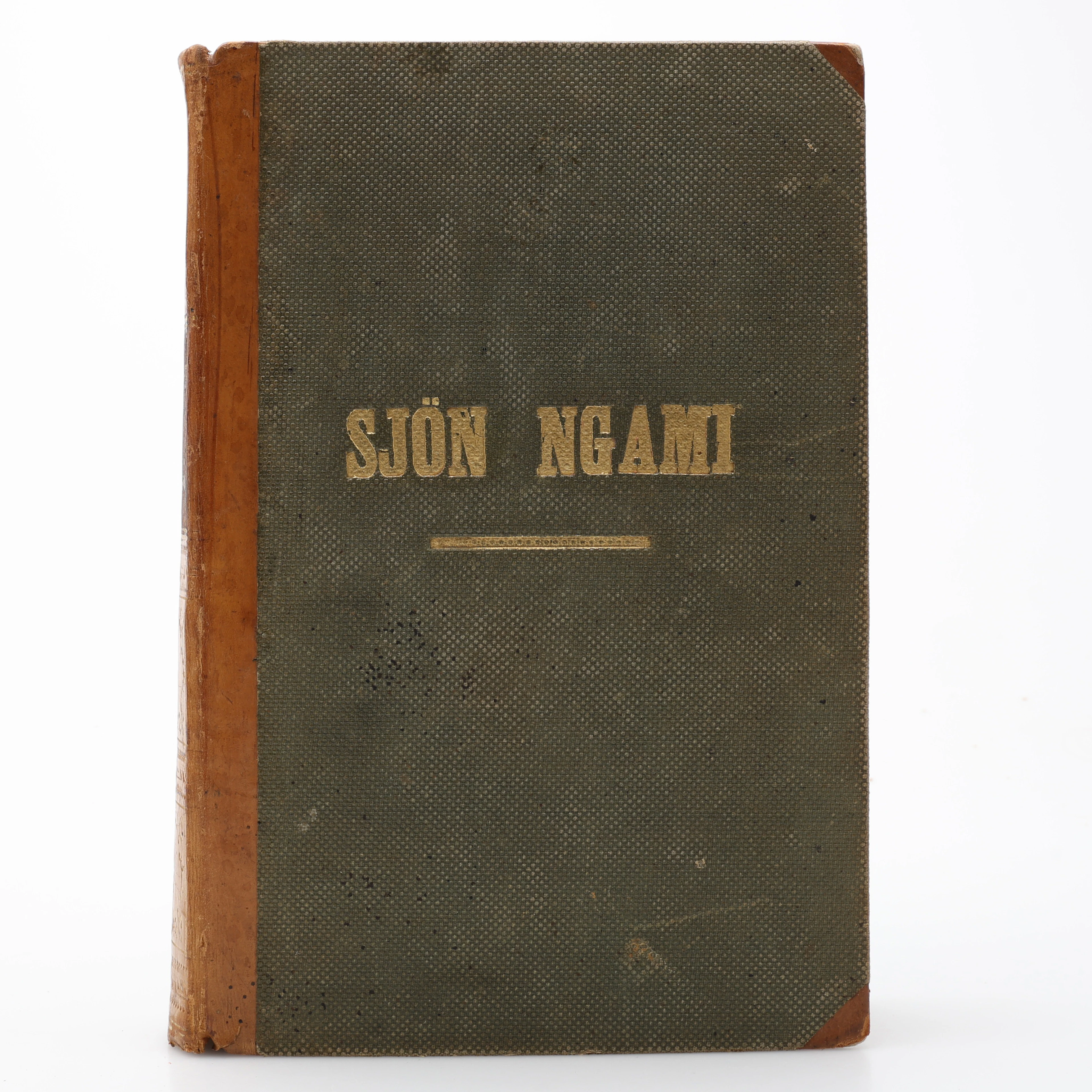 AFRIKA. CHARLES JOHN ANDERSSONS BERÖMDA RESA TILL SJÖN NGAMI 1856