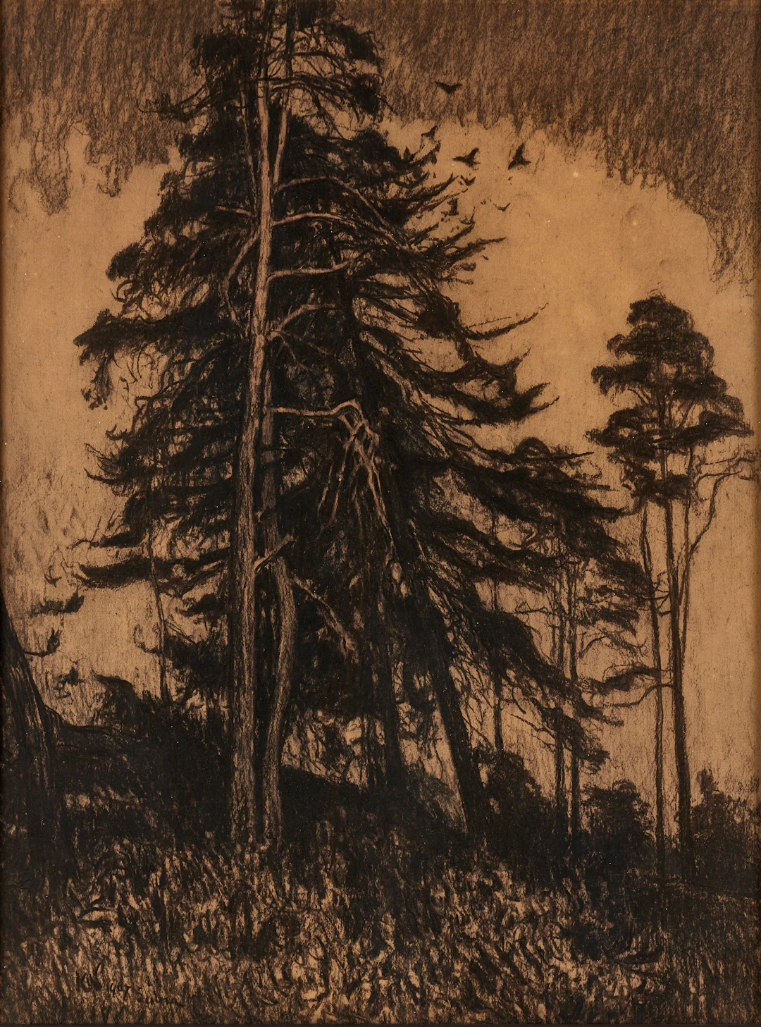 KARL NORDSTRÖM (Tjörn 1855-1923 Drottningholm). "Gran och furor"