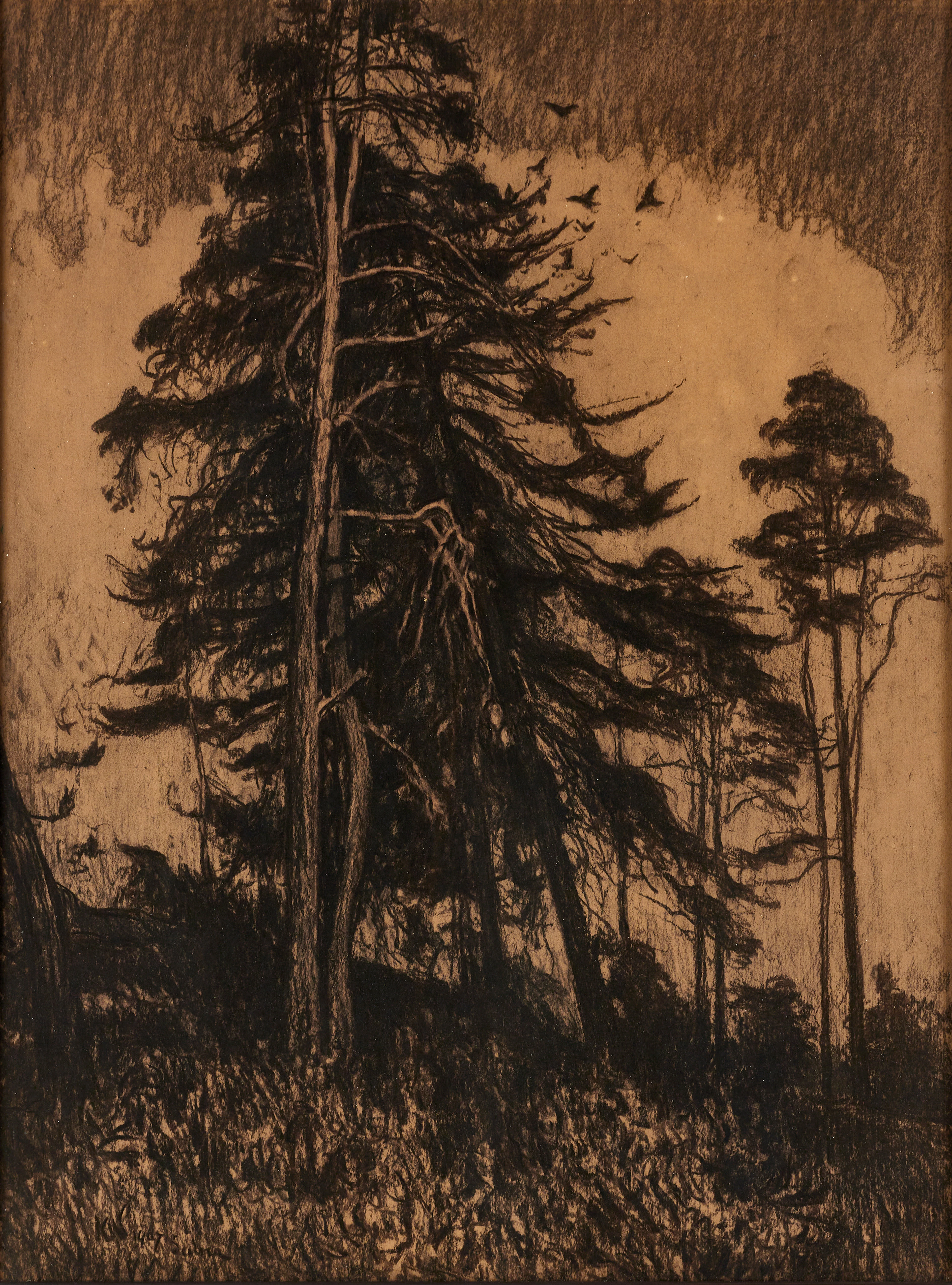 KARL NORDSTRÖM (Tjörn 1855-1923 Drottningholm). "Gran och furor"