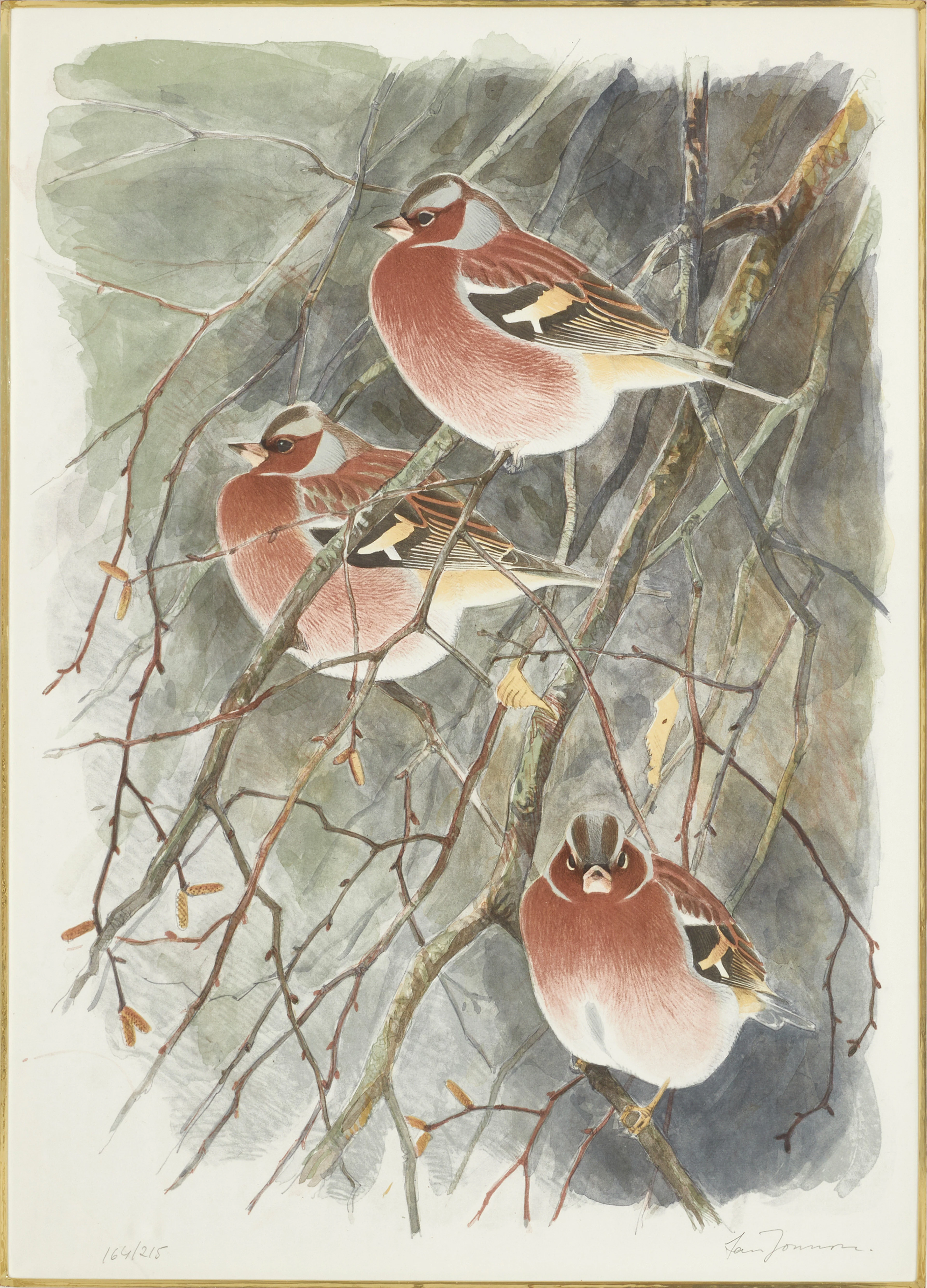 LARS JONSSON. (f. 1952), "Bofinkar", signerad Lars Jonsson, litografi
