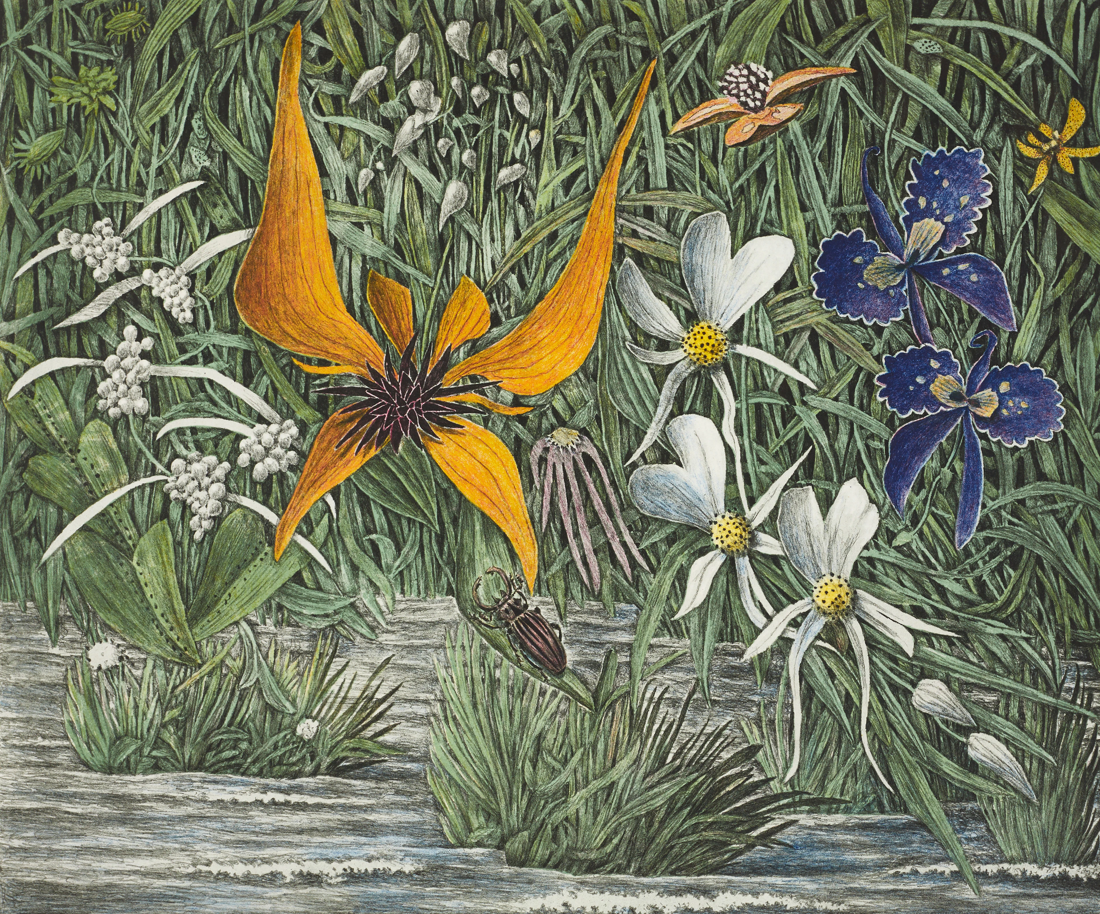 KARL AXEL PEHRSON (1921-2005). Exotiska växter, 1996, signerad, 211/290
