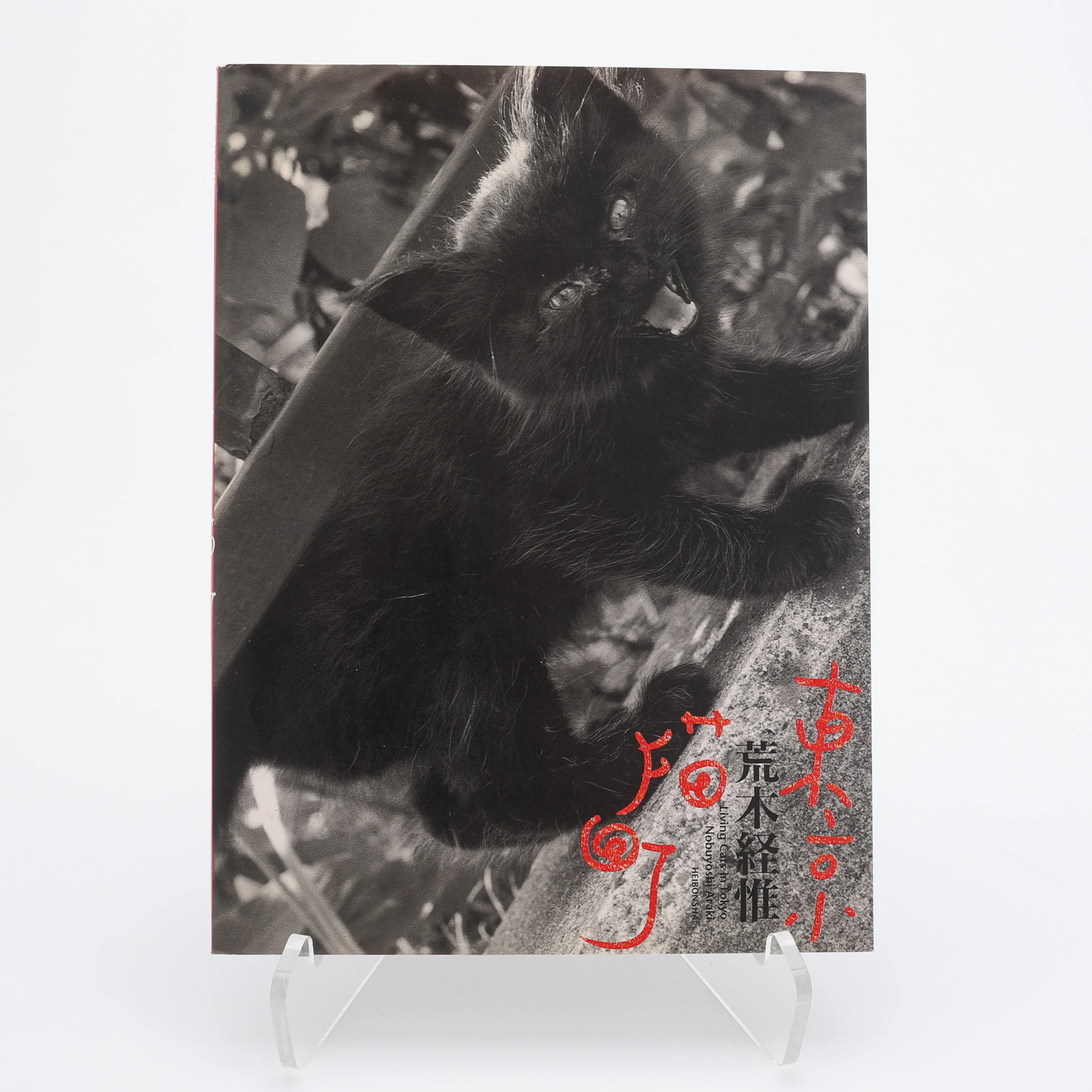 FOTO. DEN JAPANSKE FOTOGRAFEN NOBUYOSHI ARAKIS "LIVING CATS IN TOKYO"