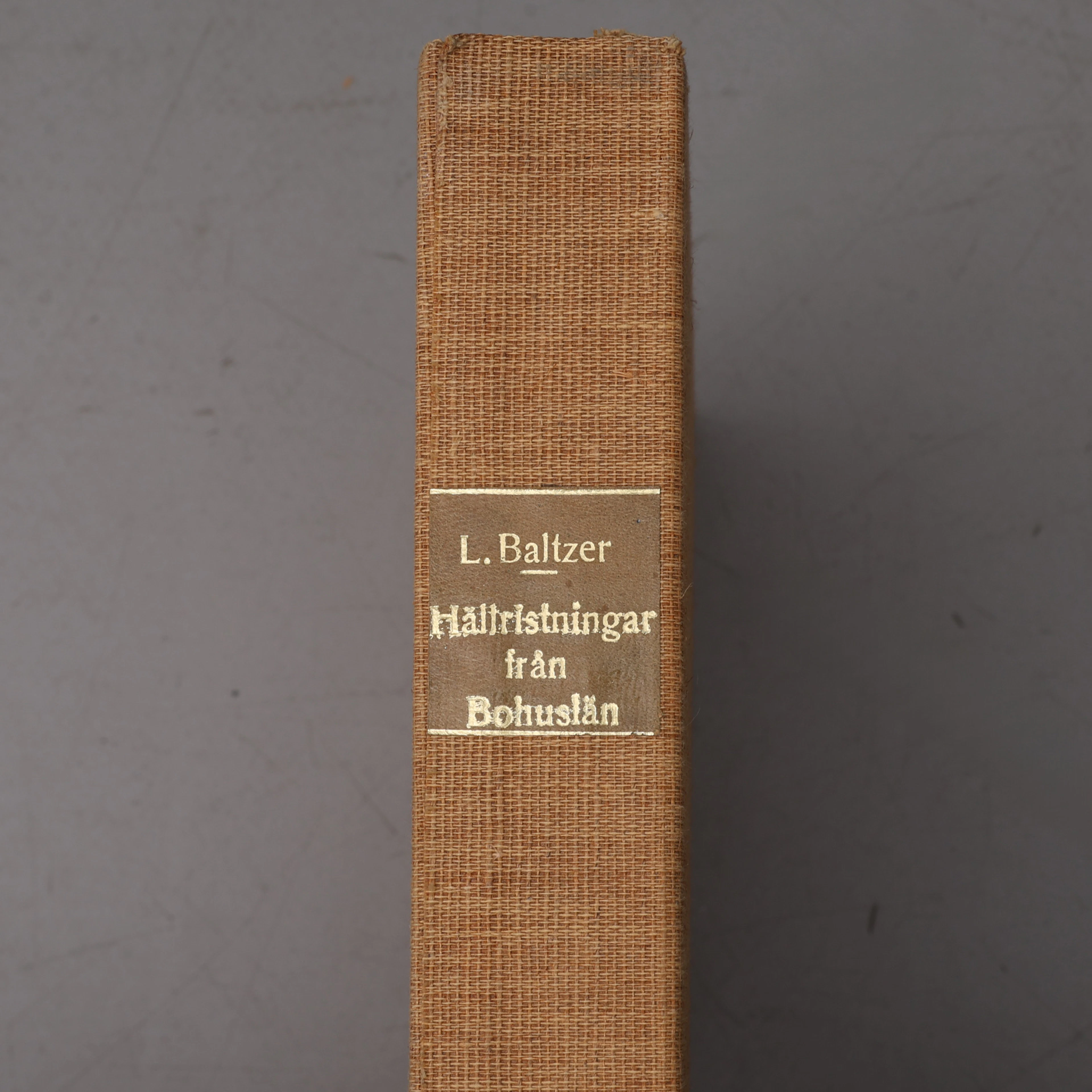 L. BALTZERS HÄLLRISTNINGAR FRÅN BOHUSLÄN MED FÖRORD AV VIKTOR RYDBER 1881-1890.