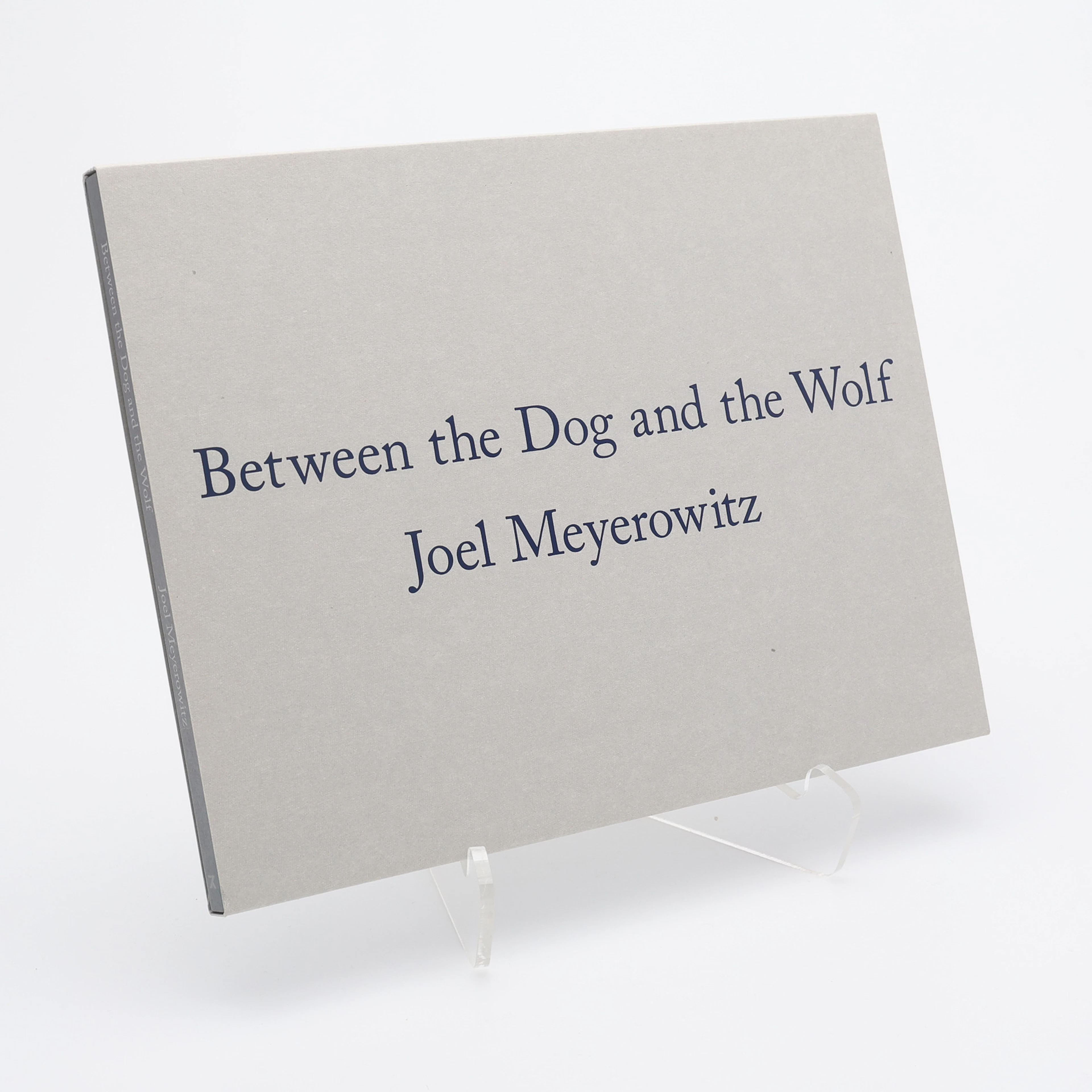 FOTO. DEN AMERIKANSKE FOTOGRAFEN JOEL MEYEROWITZS "BETWEEN THE DOG