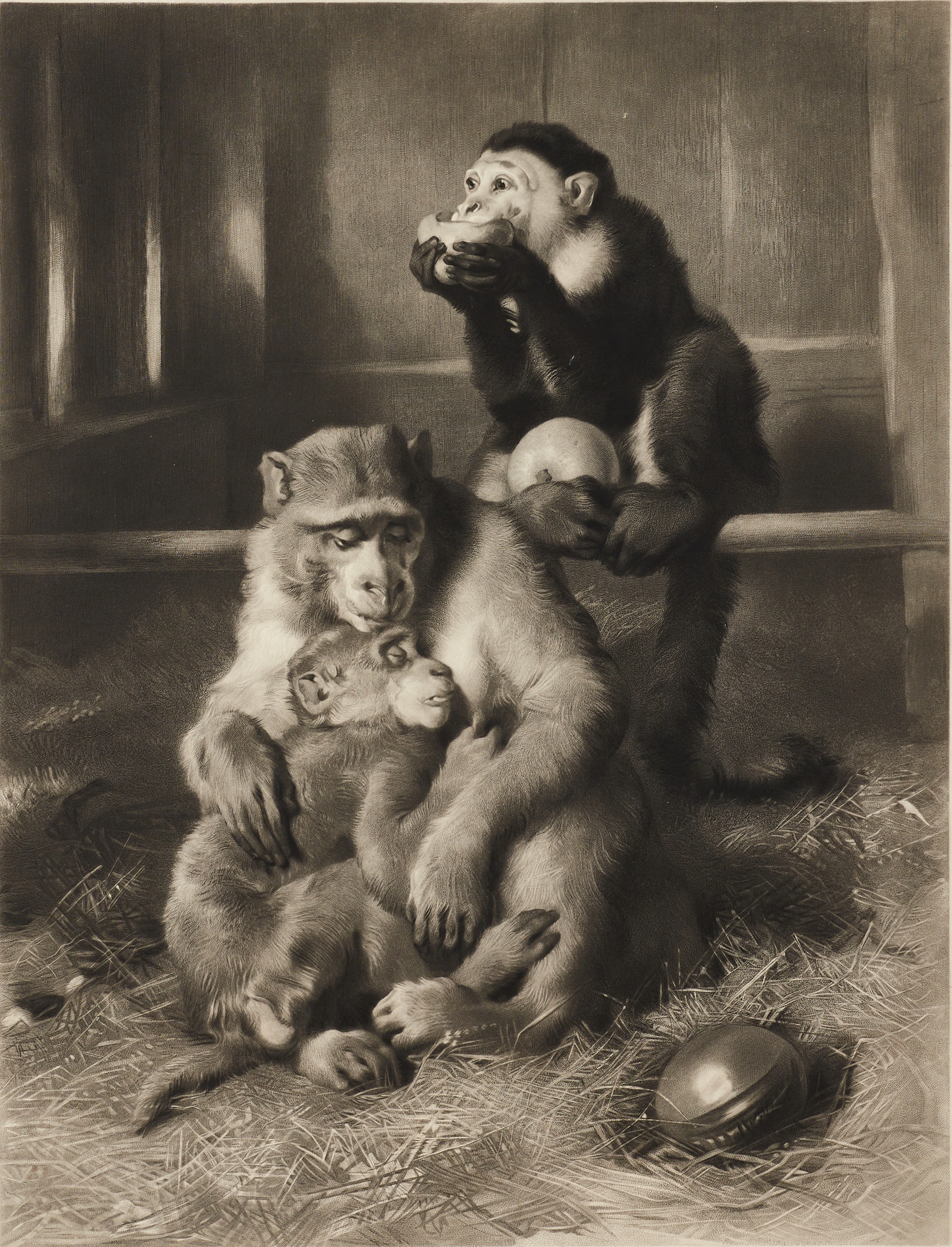 WILLIAM HENRY SIMMONS (1811-1882), "The Sick Monkey", stålgravyr (efter