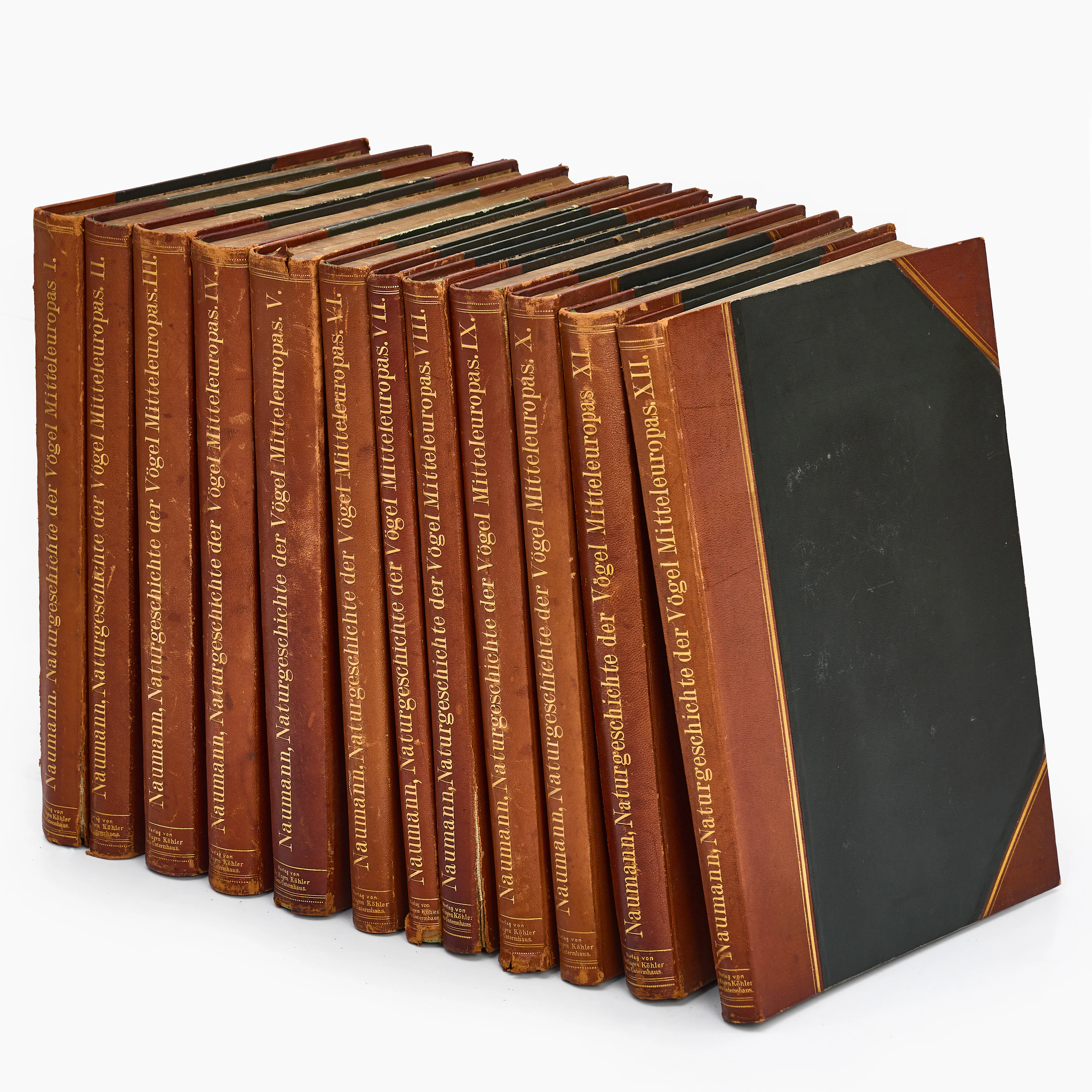 ORNITOLOGI. NAUMANN, JOHANN ANDREAS/NAUMANN, JOHANN FRIEDRICH, "Naumann