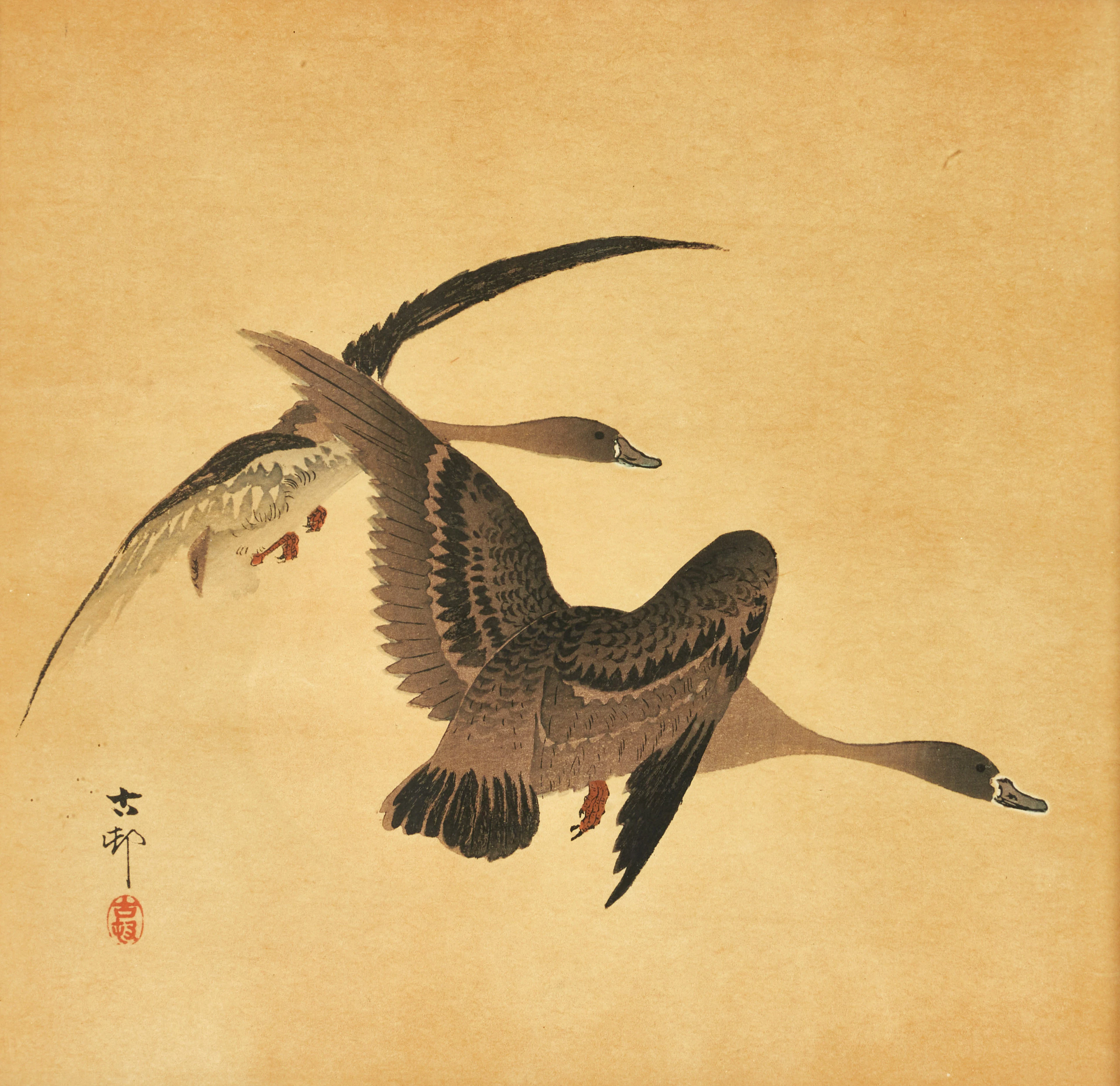 OHARA KOSON (1877-1945), sträckande gäss, träsnitt.