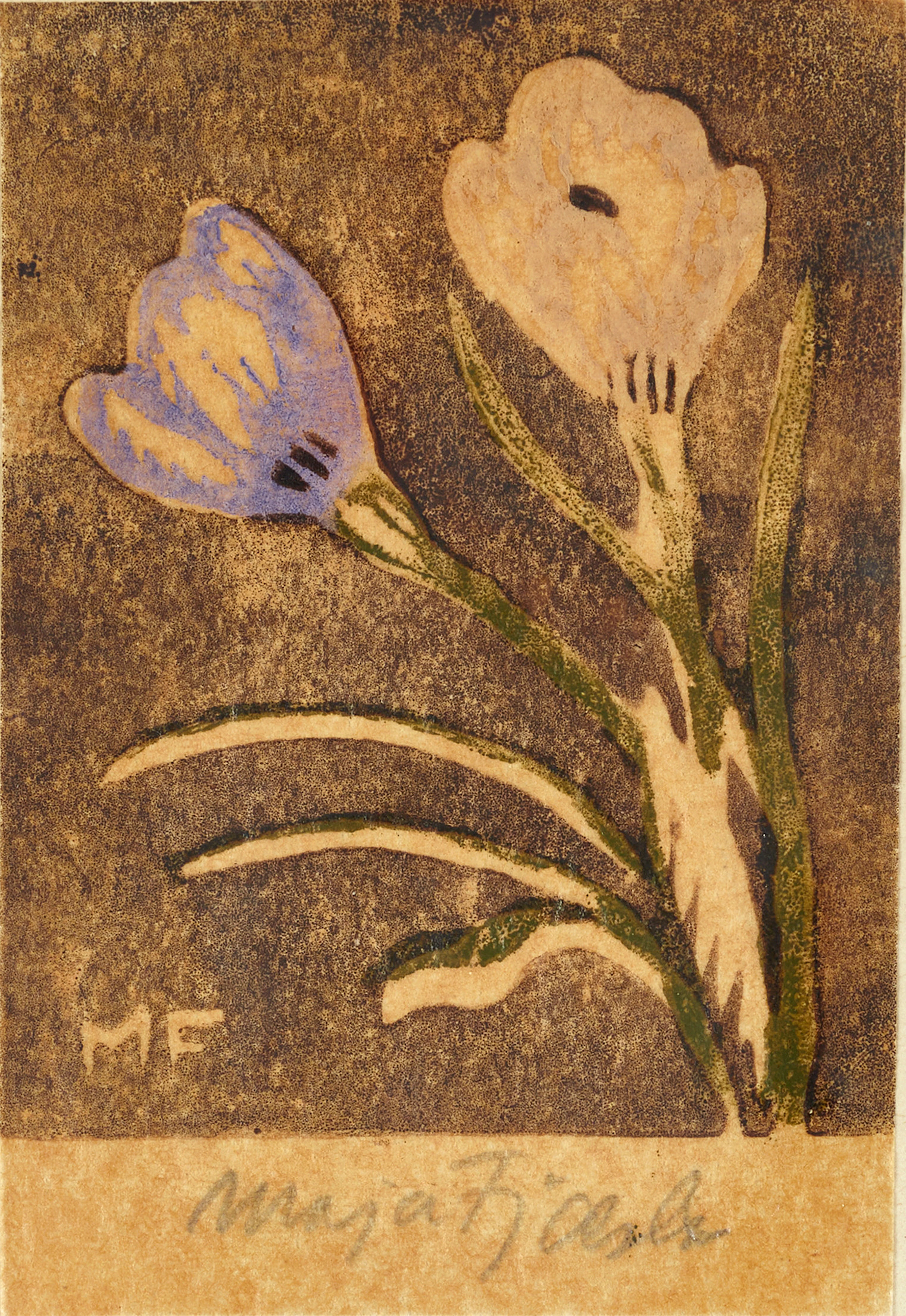 MAJA FJÆSTAD (1873-1961). Krokus, signerad Maja Fjaestad, handtryckt