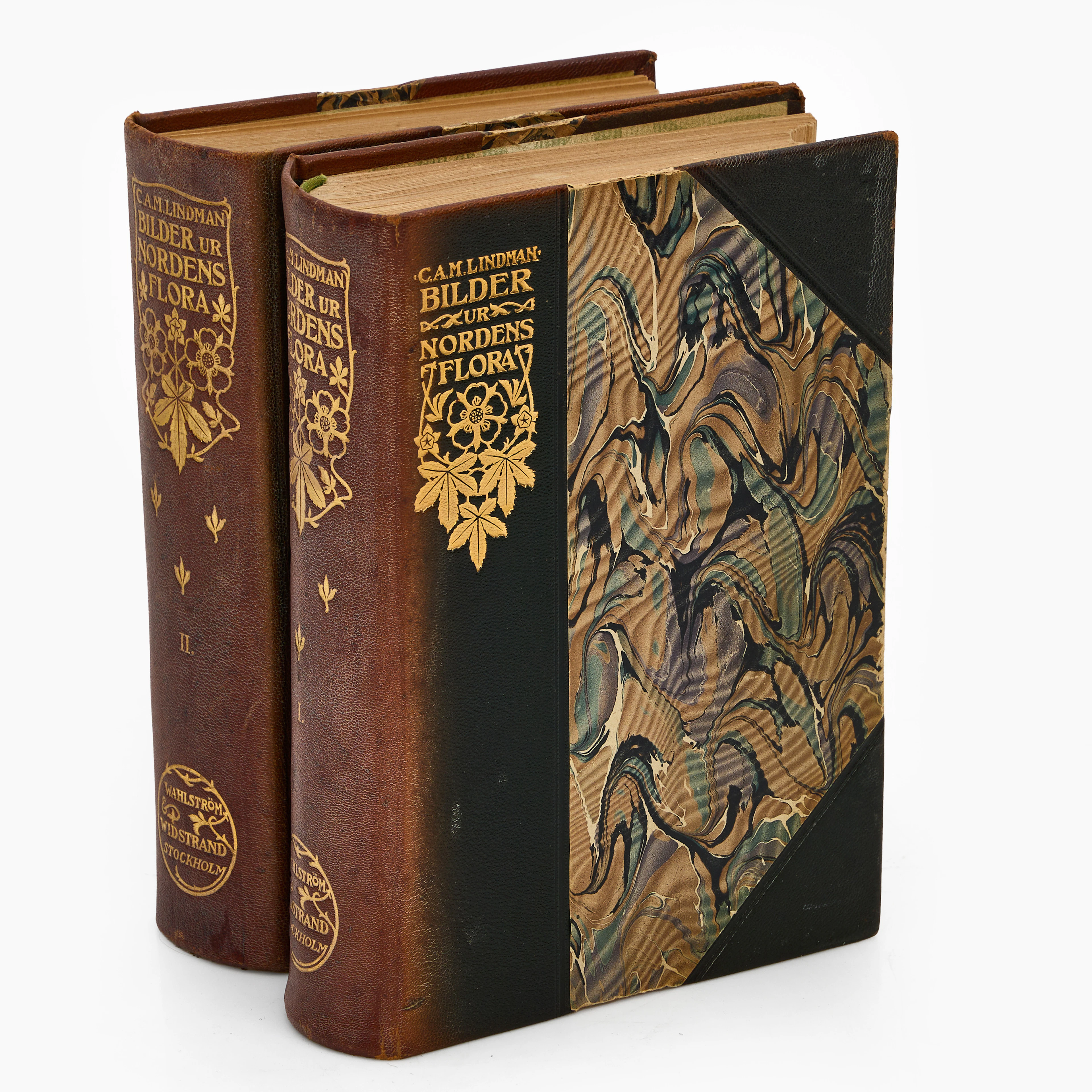 C. A. M. LINDMAN, "BILDER UR NORDENS FLORA I-II, 2 vol. Första upplagan.