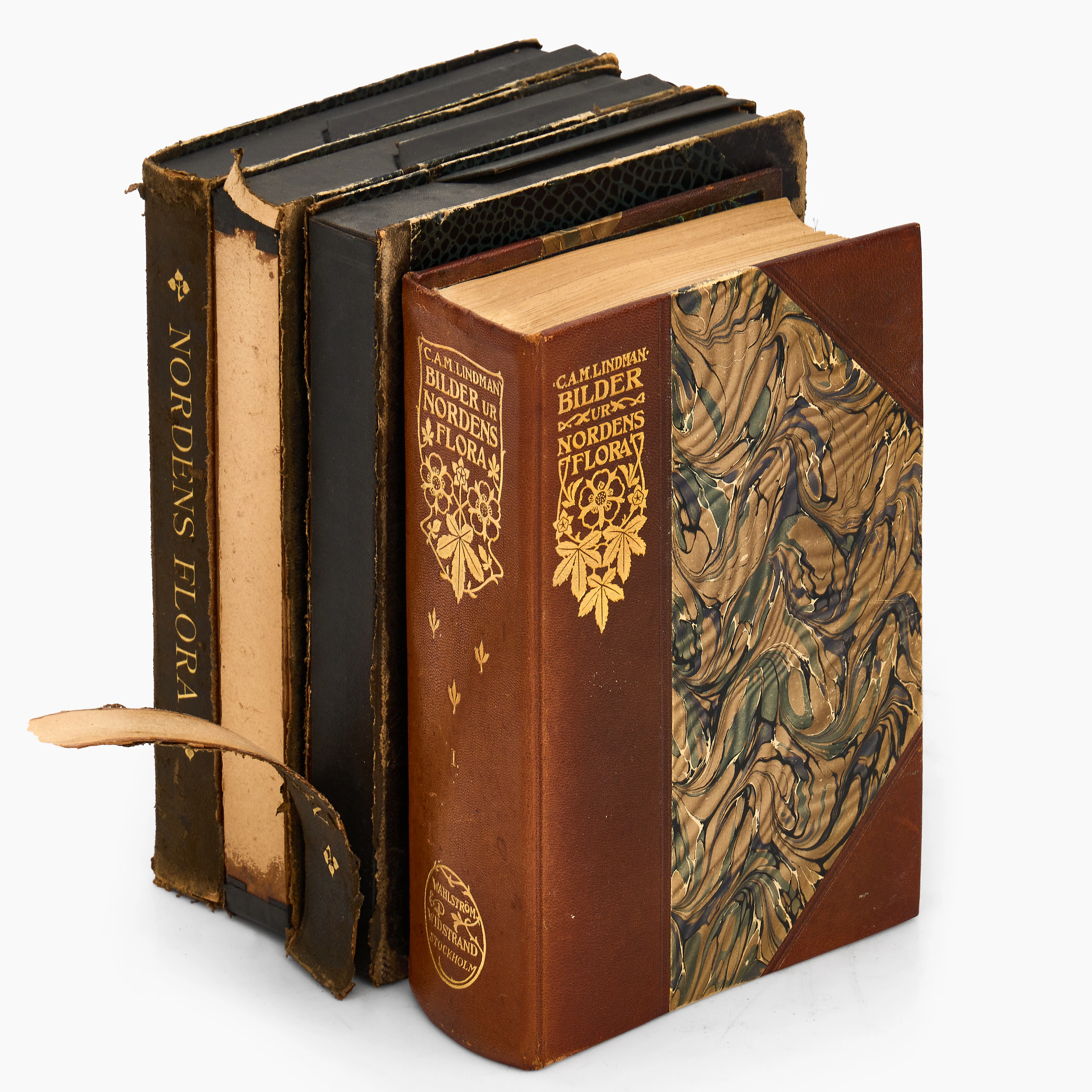 C. A. M. LINDMAN, "BILDER UR NORDENS FLORA I, I vol. (+340 lösa planscher).