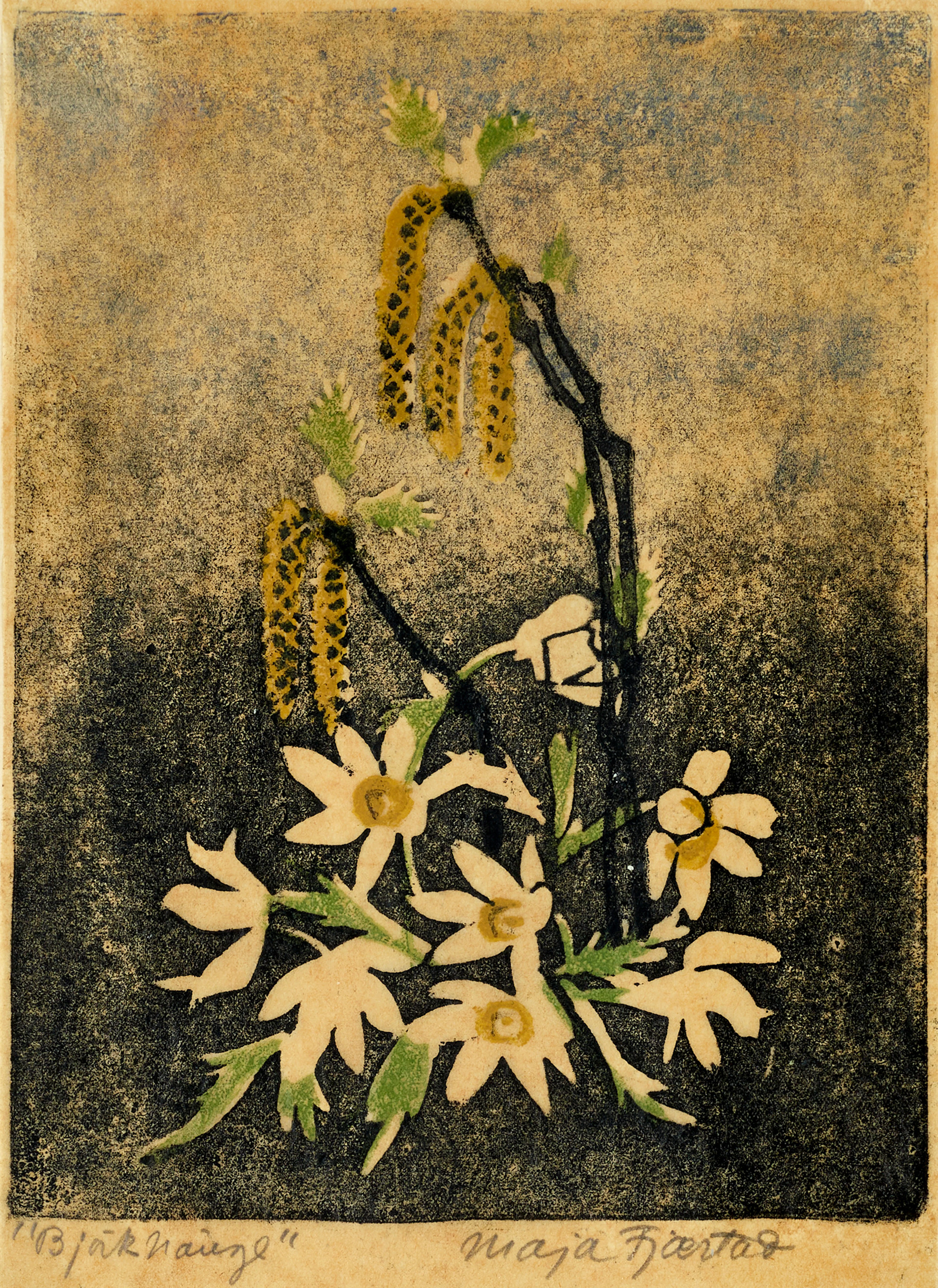 MAJA FJAESTAD (1873-1961), 2 st ”Björkhänge”, krokus, signerade, färgträsnitt.