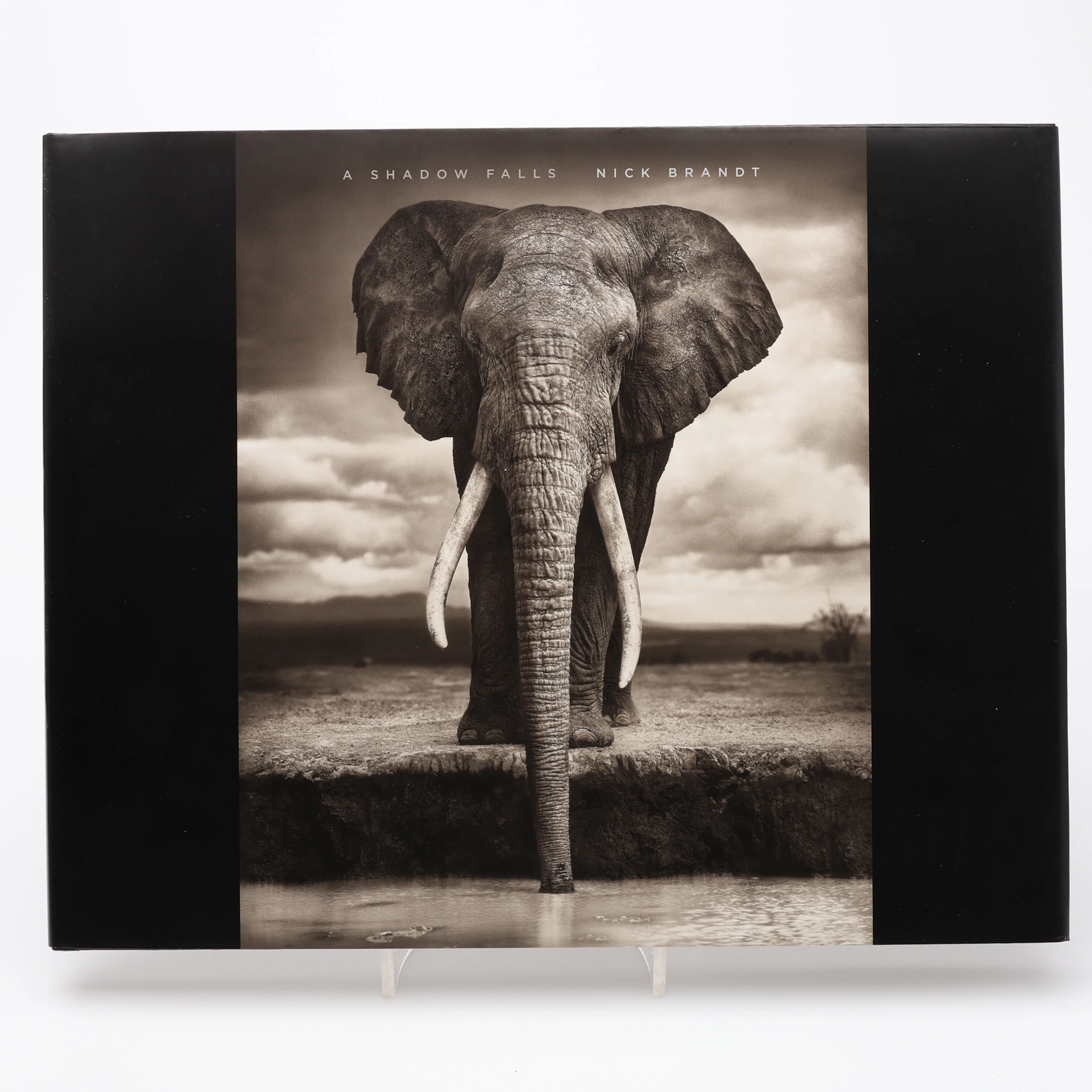 FOTO. DEN BRITTISKE FOTOGRAFEN NICK BRANDT'S A SHADOW FALLS I FÖRSTA