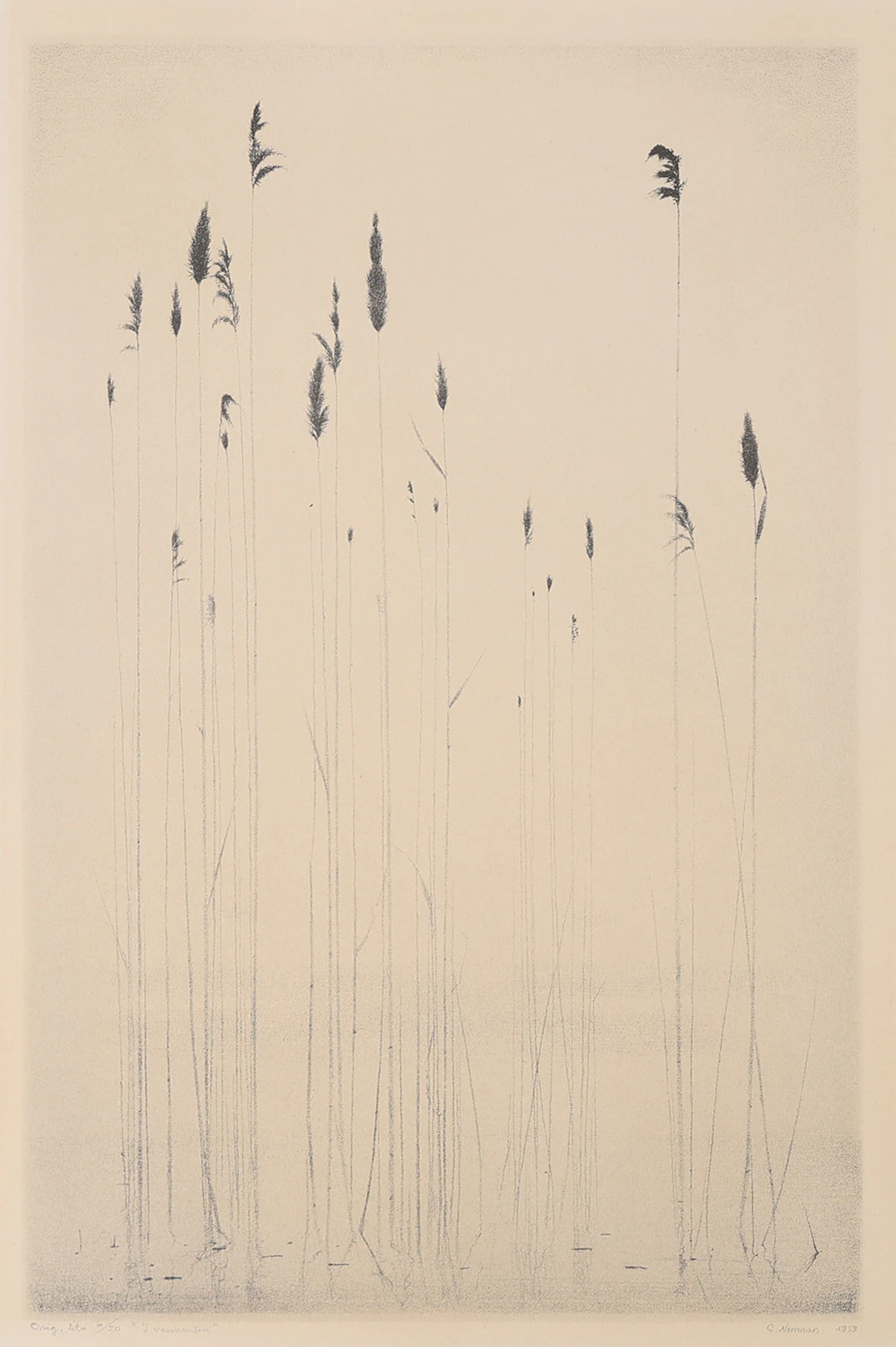 GUNNAR NORRMAN. "I VASSKANTEN".