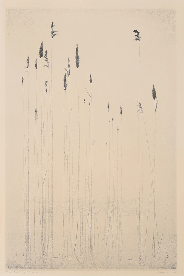 GUNNAR NORRMAN. "I VASSKANTEN".