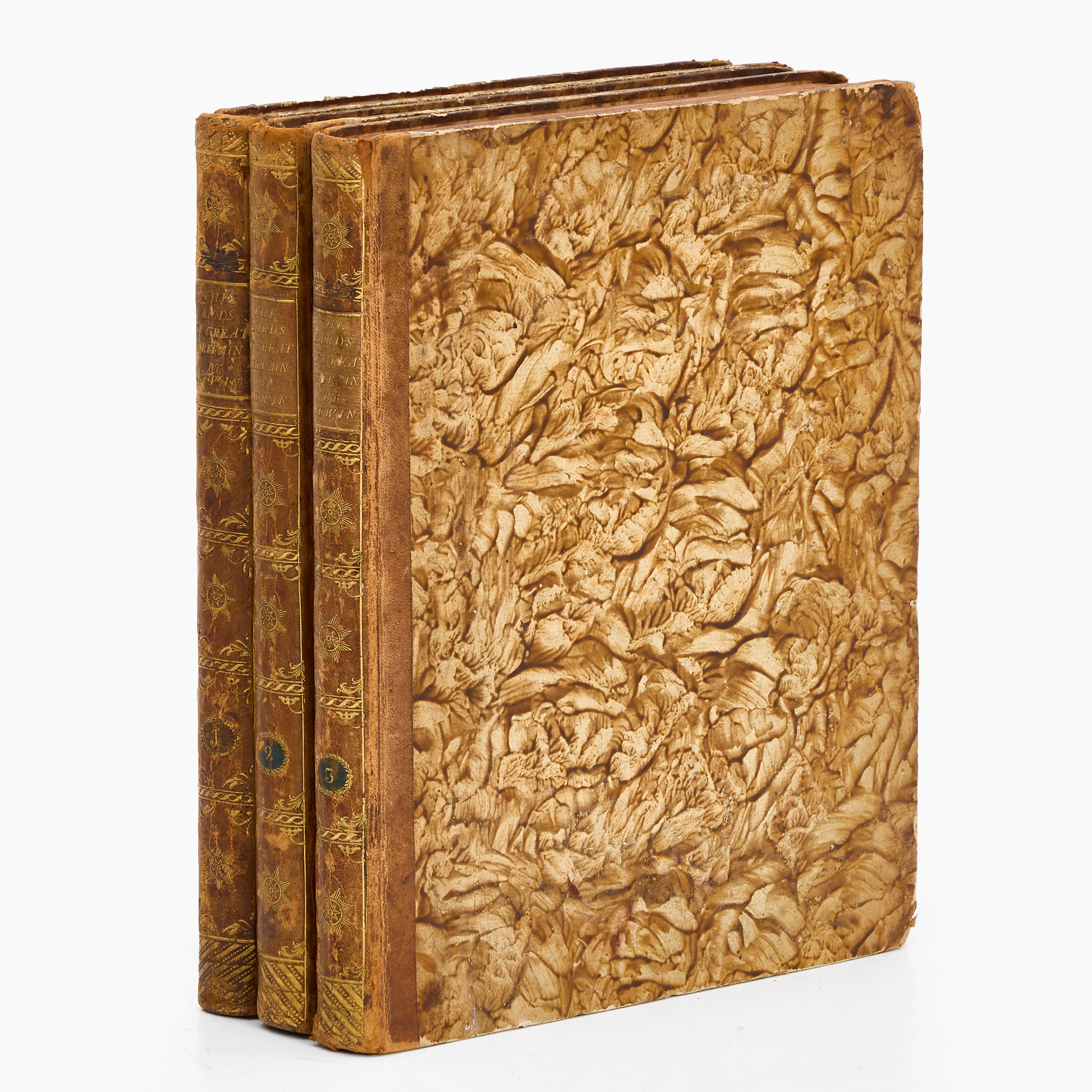 ORNITHOLOGY. LEWVIN, "The Birds of Great Britain", Vol I-III, London, 1795-96.