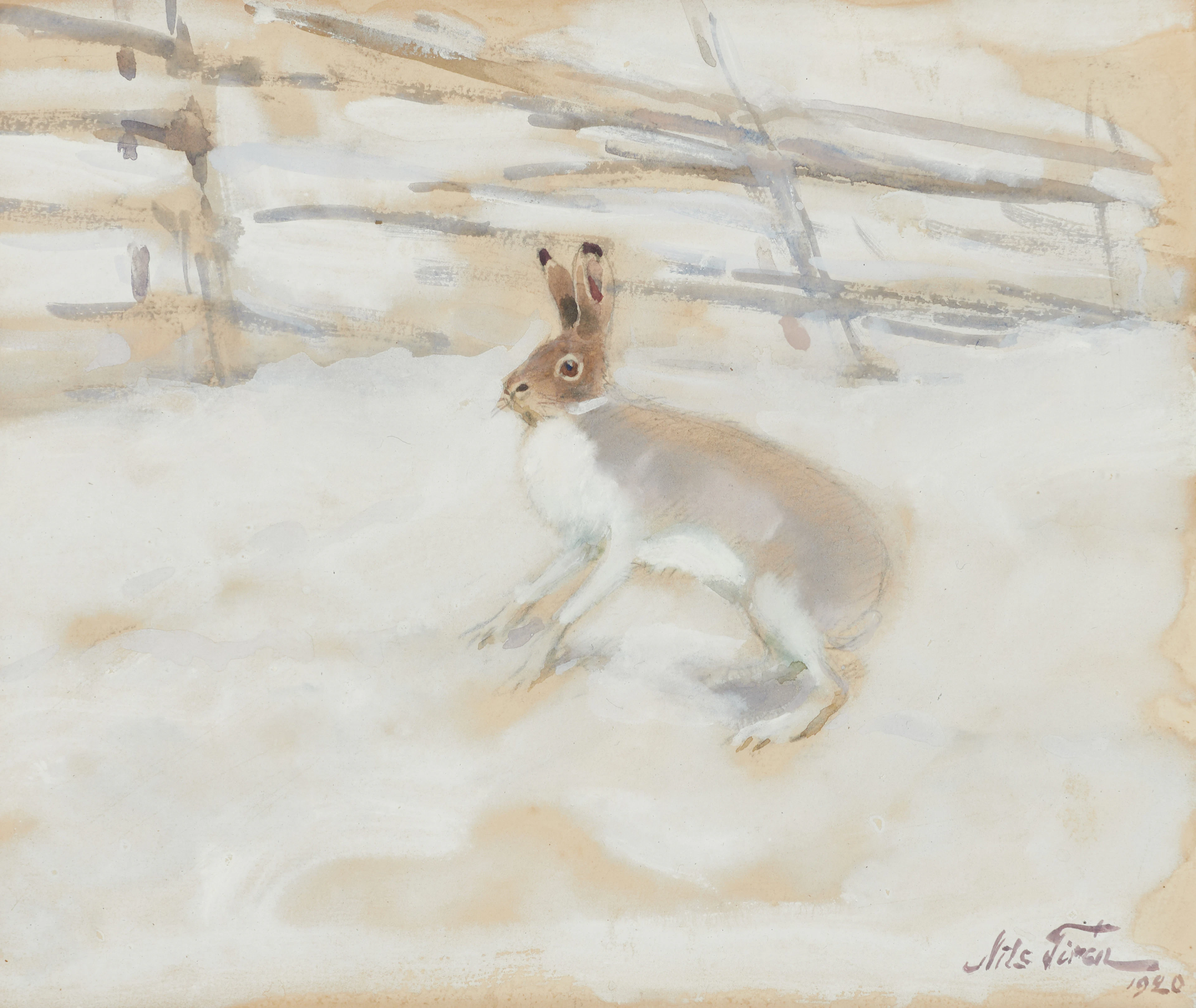 ILS TIRÉN (1885-1935): Vinterhare, signerad och daterad Nils Tirén