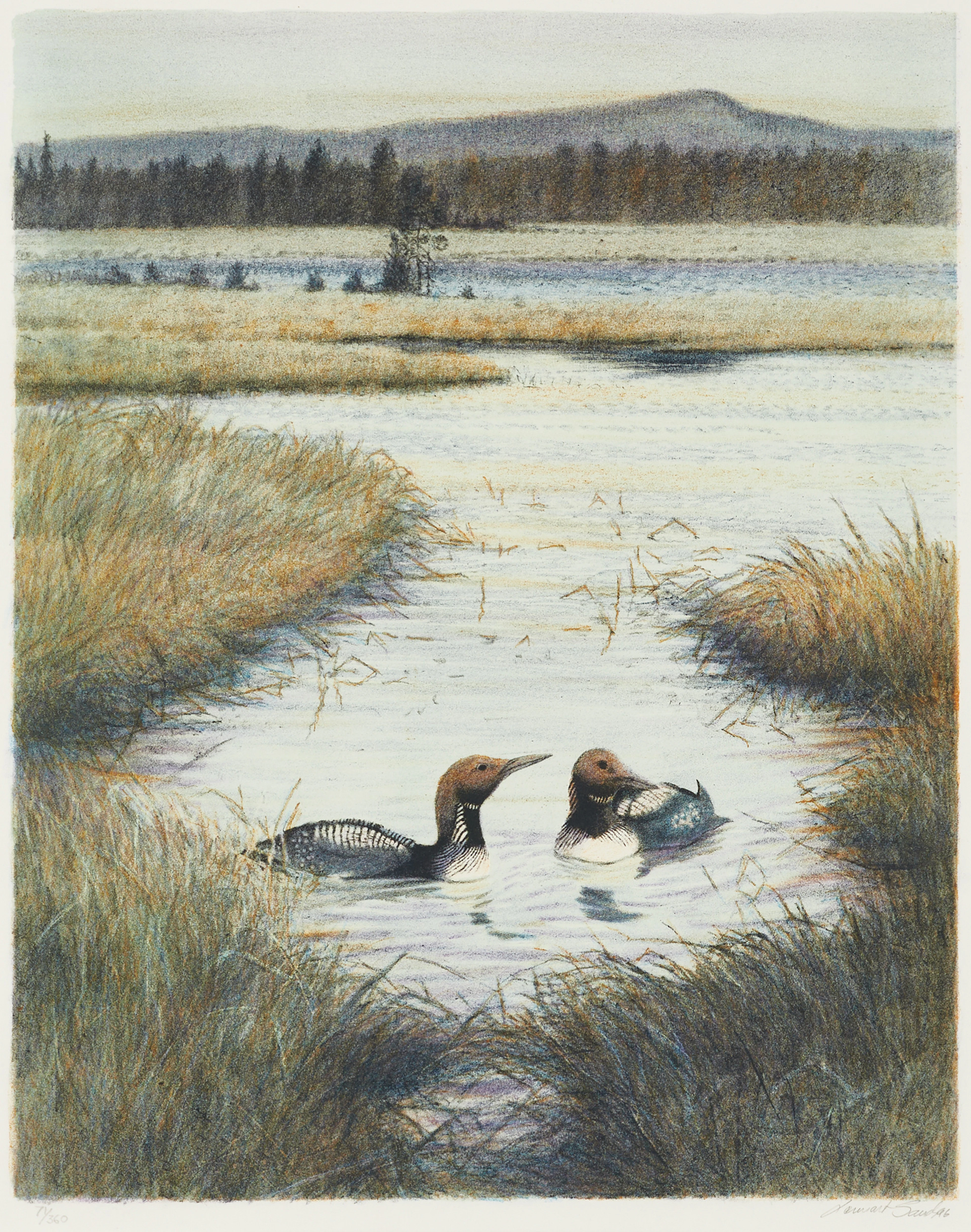 LENNART SAND. "Änder i vattendrag", signerad, daterad 96, numrerad