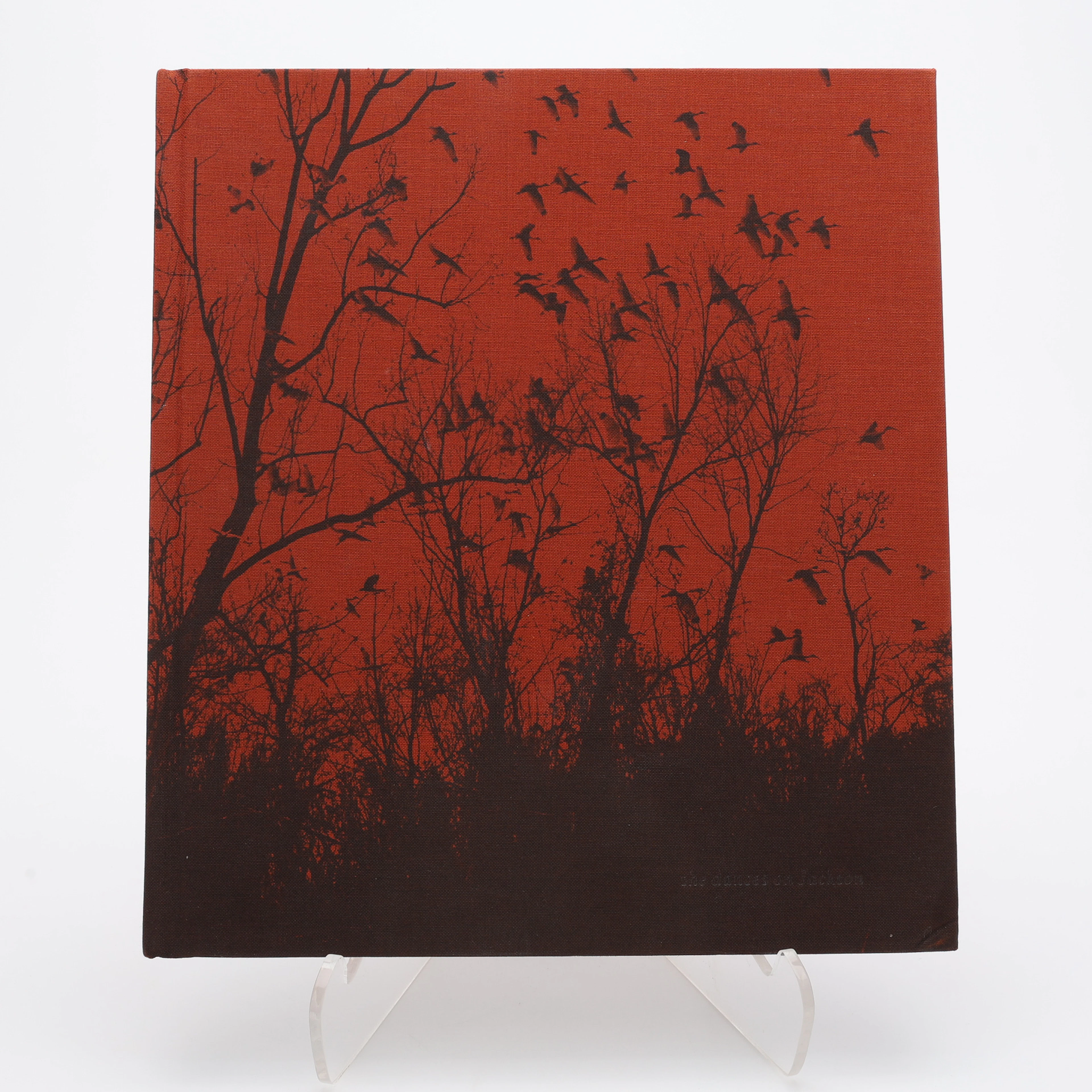VANESSA WINSHIPS "SHE DANCES ON JACKSON", 2013.