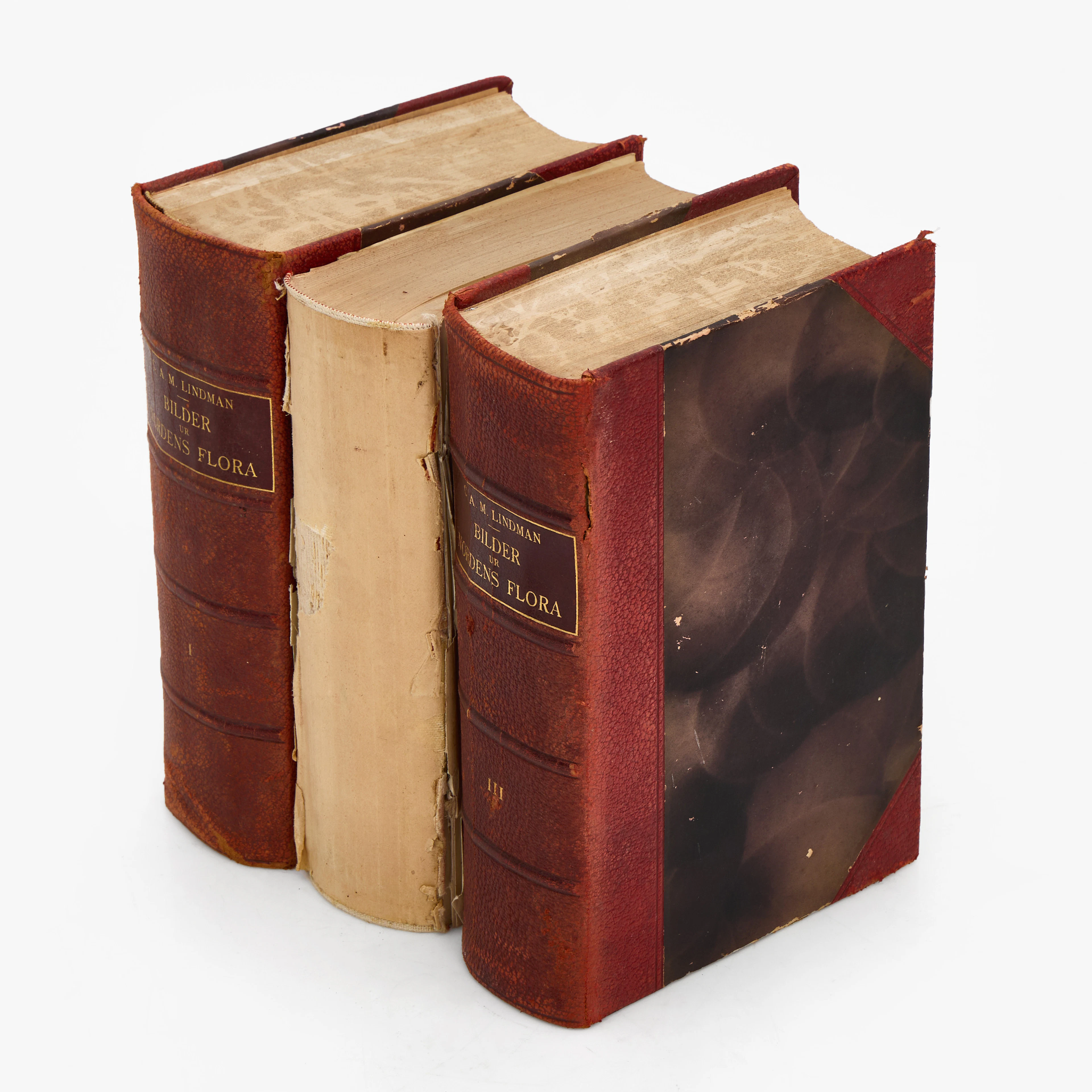 C. A. M. LINDMAN, "BILDER UR NORDENS FLORA I-III, 3 vol.