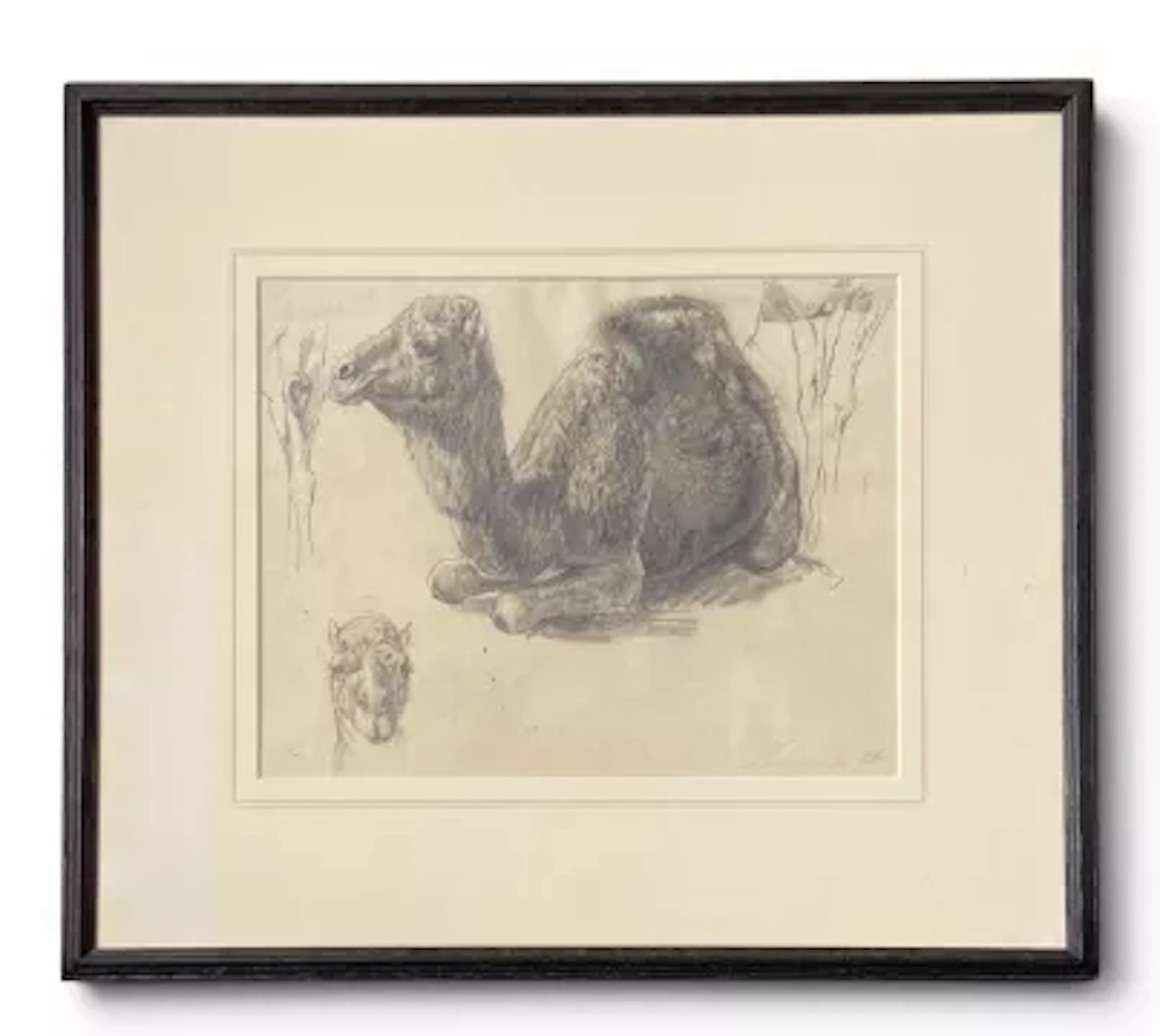 Wilhelm Kuhnert (1865-1926), a C.1900 pencil study of a camel surrounded