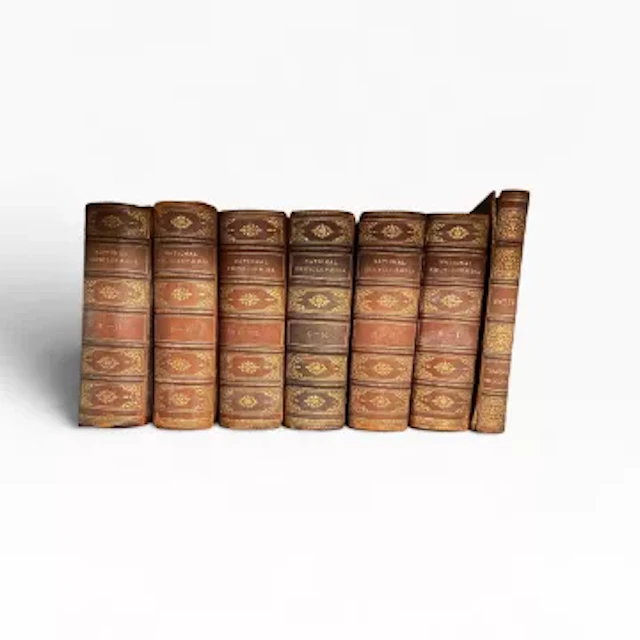 National Encyclopaedia, A Dictionary of Universal Knowledge by Writers