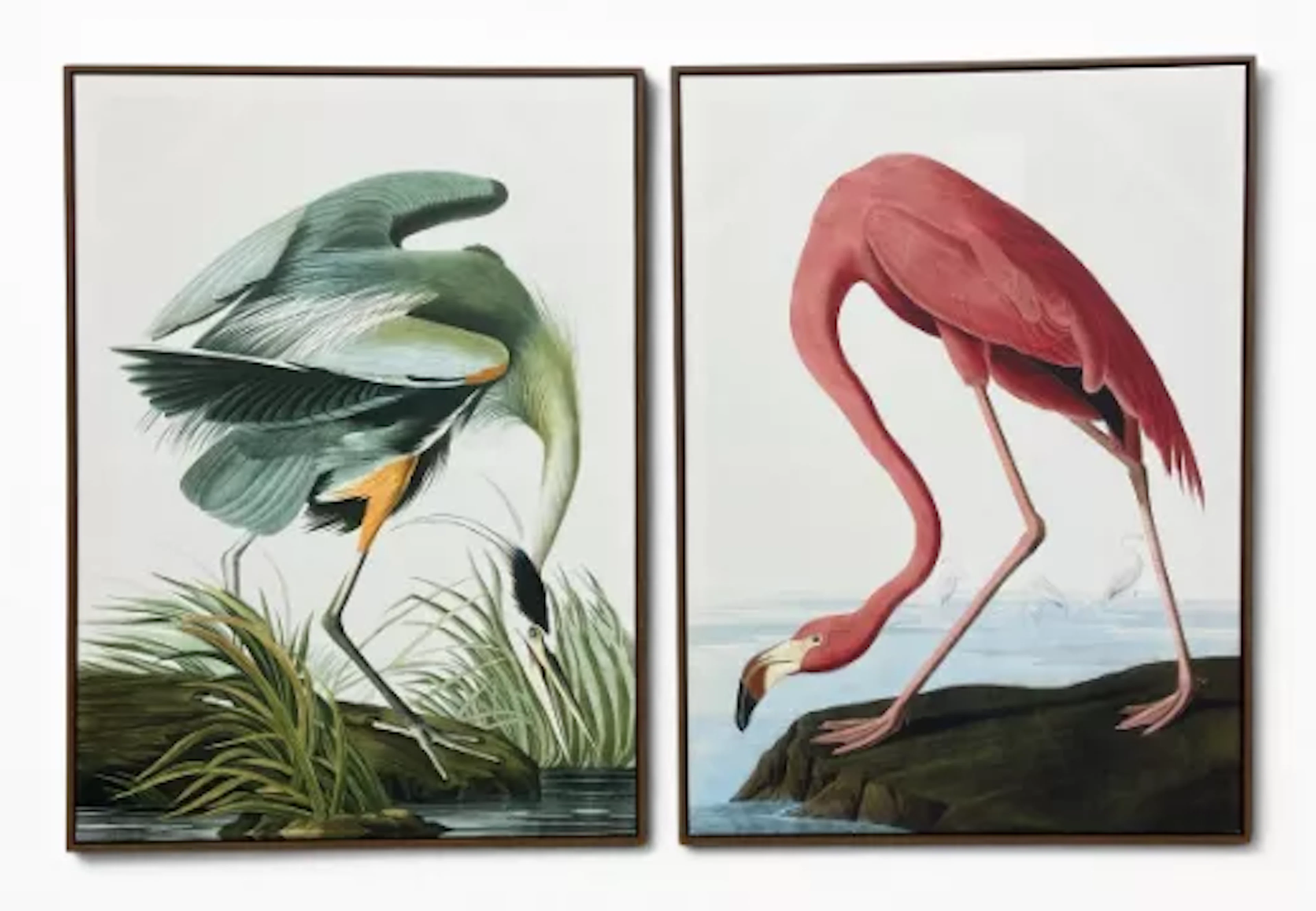 A pair of large contemporary bird prints on canvas depicting a Great
