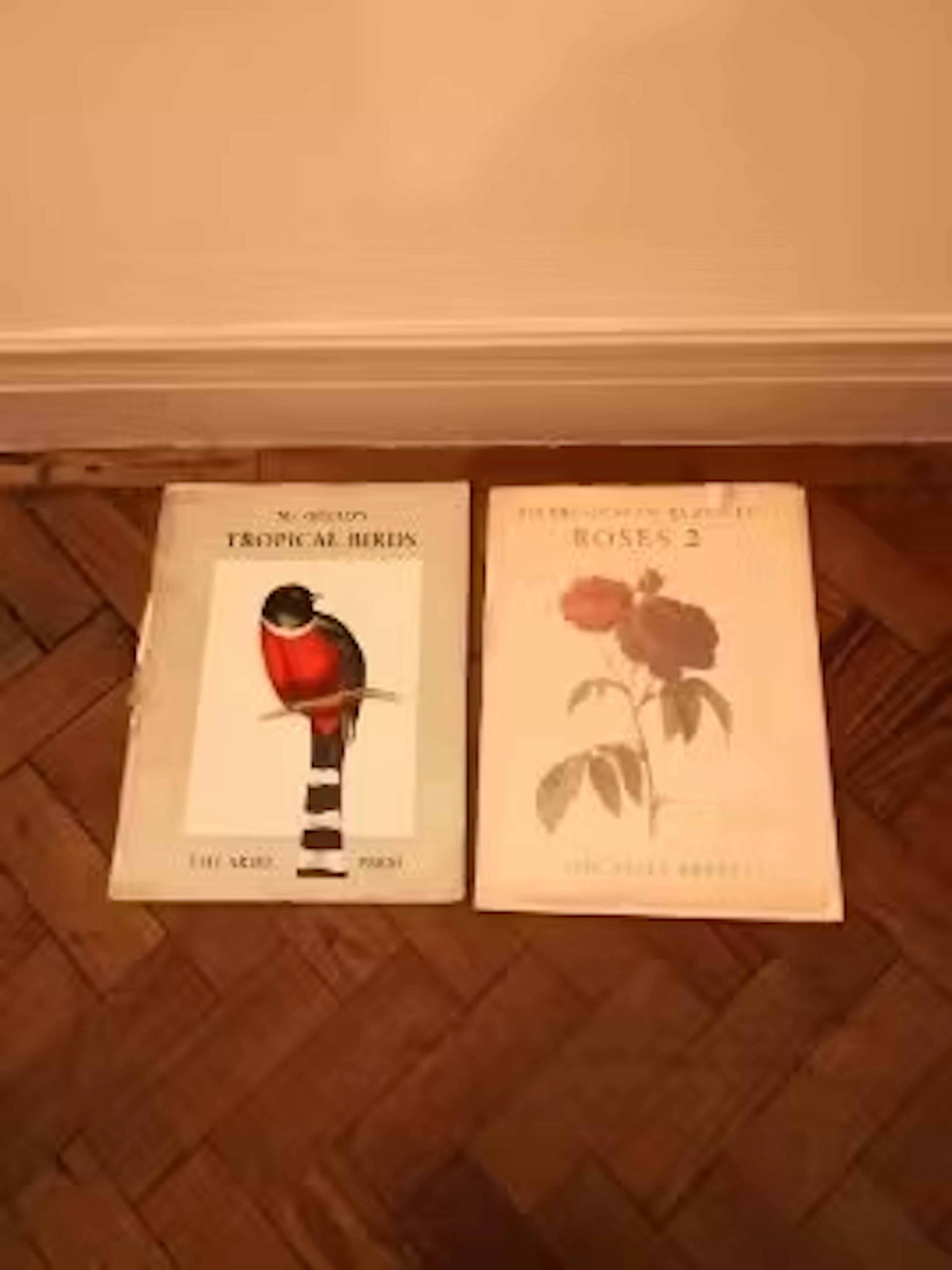 Mr Gould's book of Tropical Birds and Pierre-Joseph Redoute's Roses