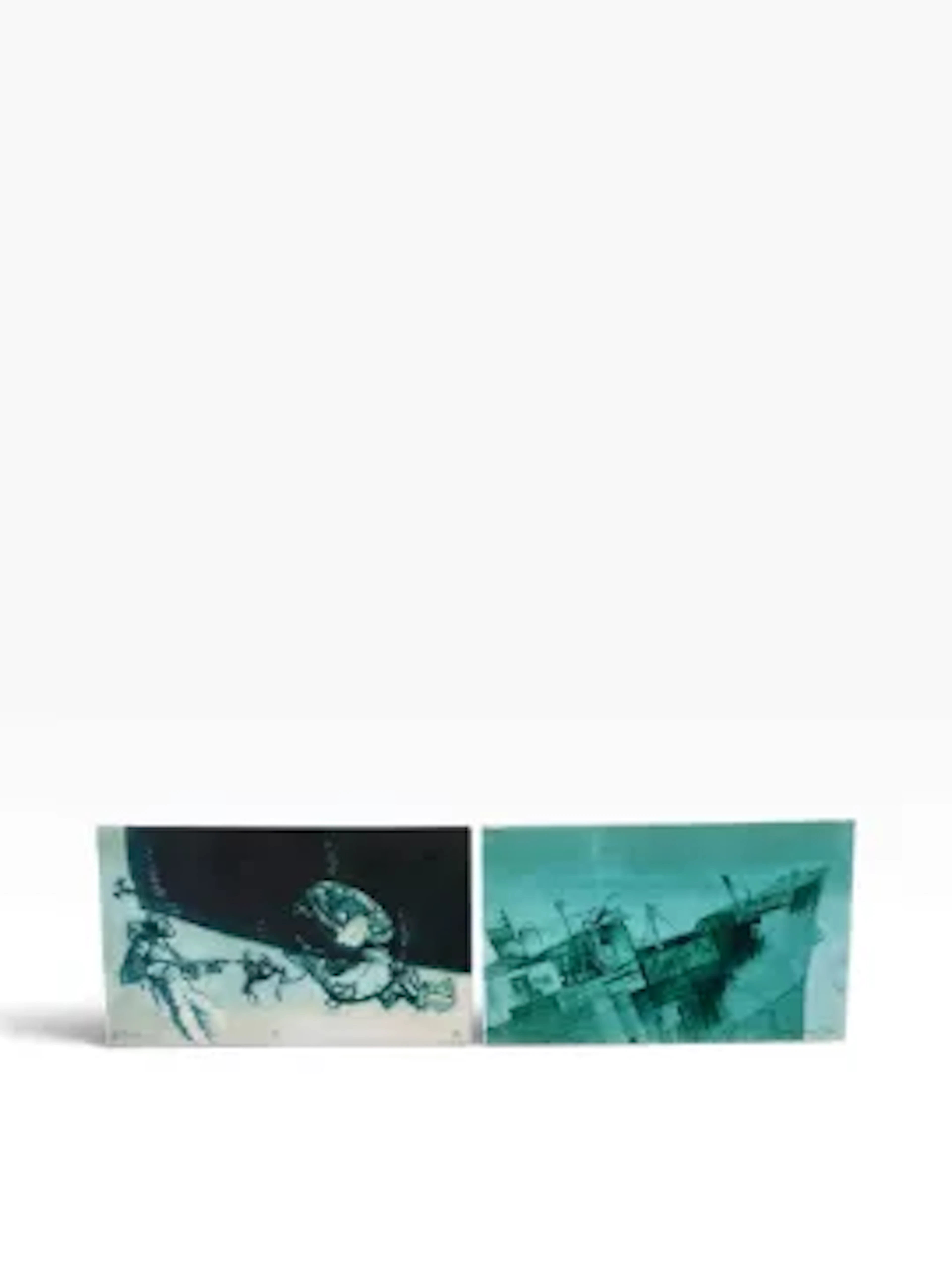 Two contemporary limited edition prints on canvas after Sylvan Whittingham