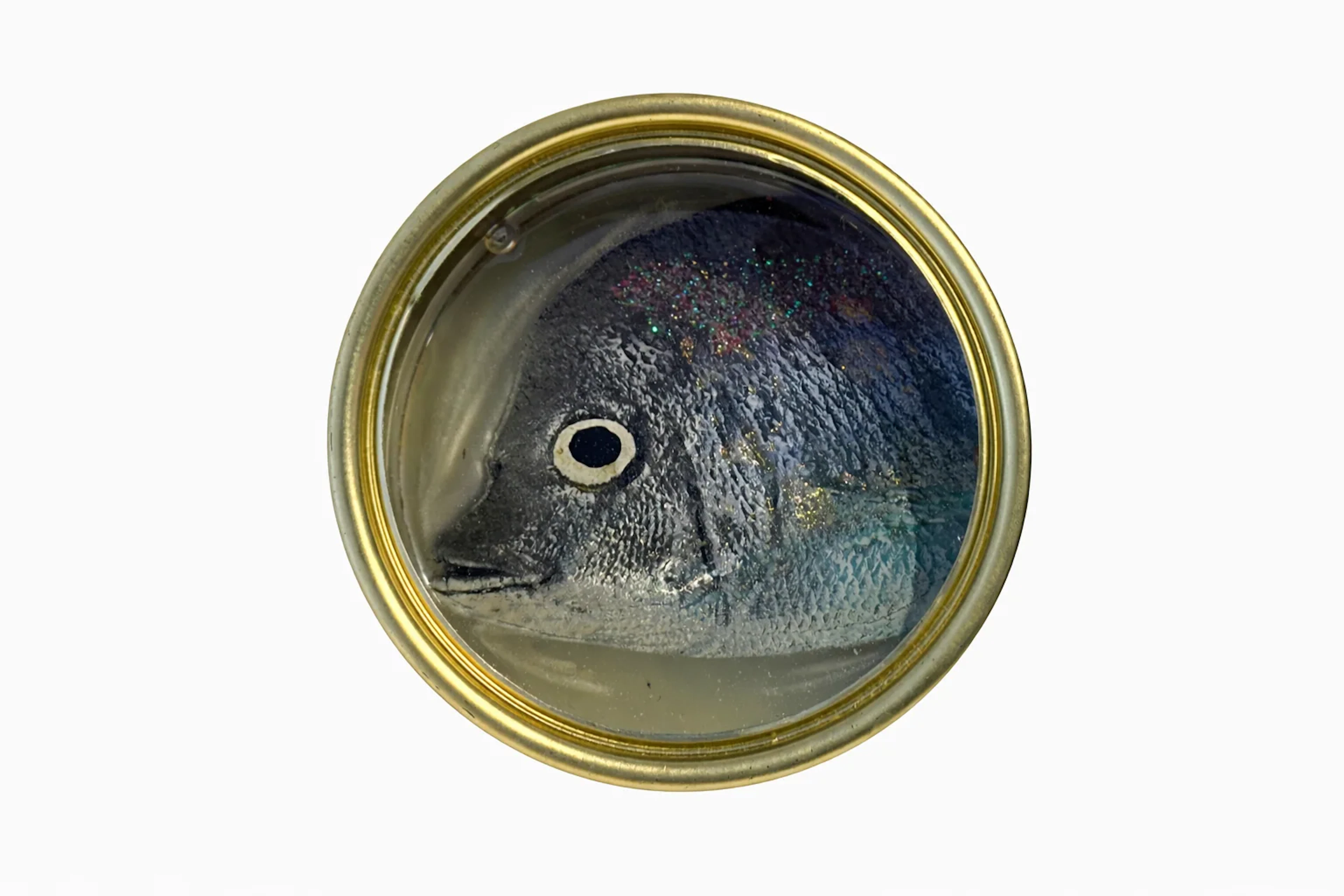 Ortaire de Coupigny - Gems of The Ocean XXIV