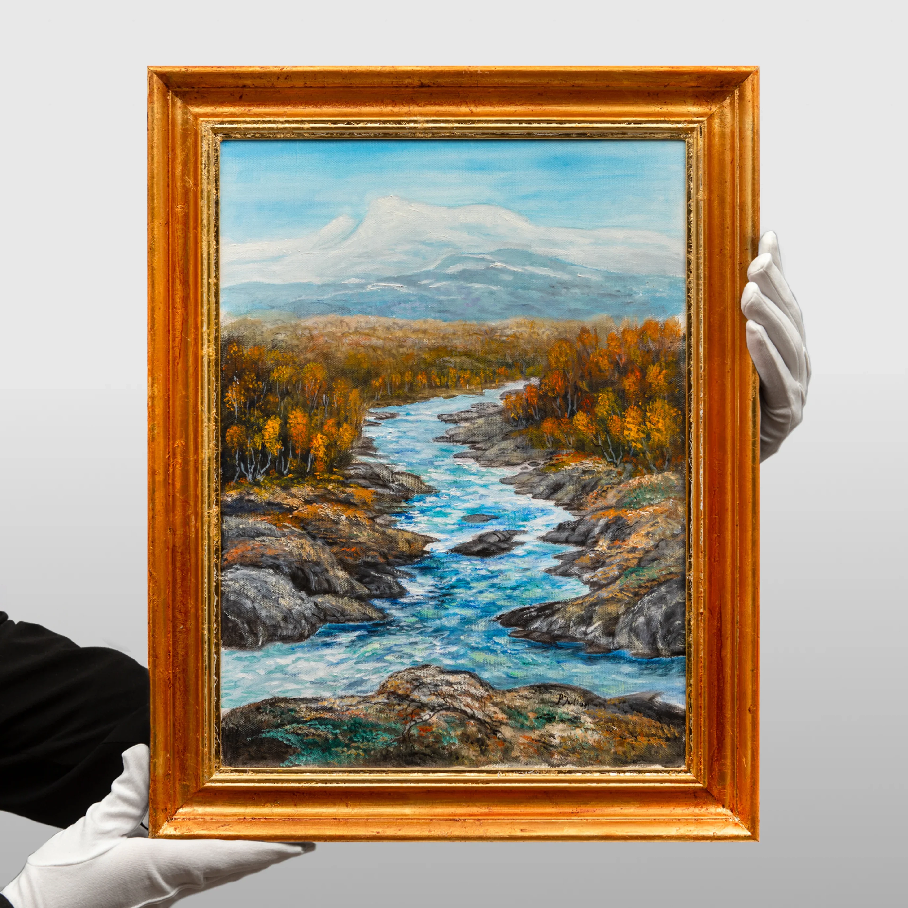 Per Julius - Vallebäcken Hemavan